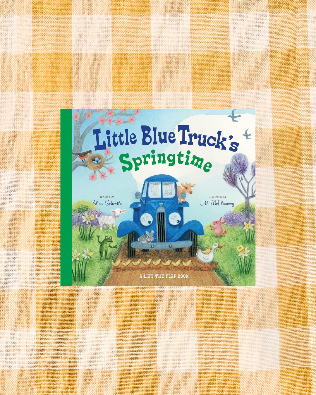 background website photos (55).png