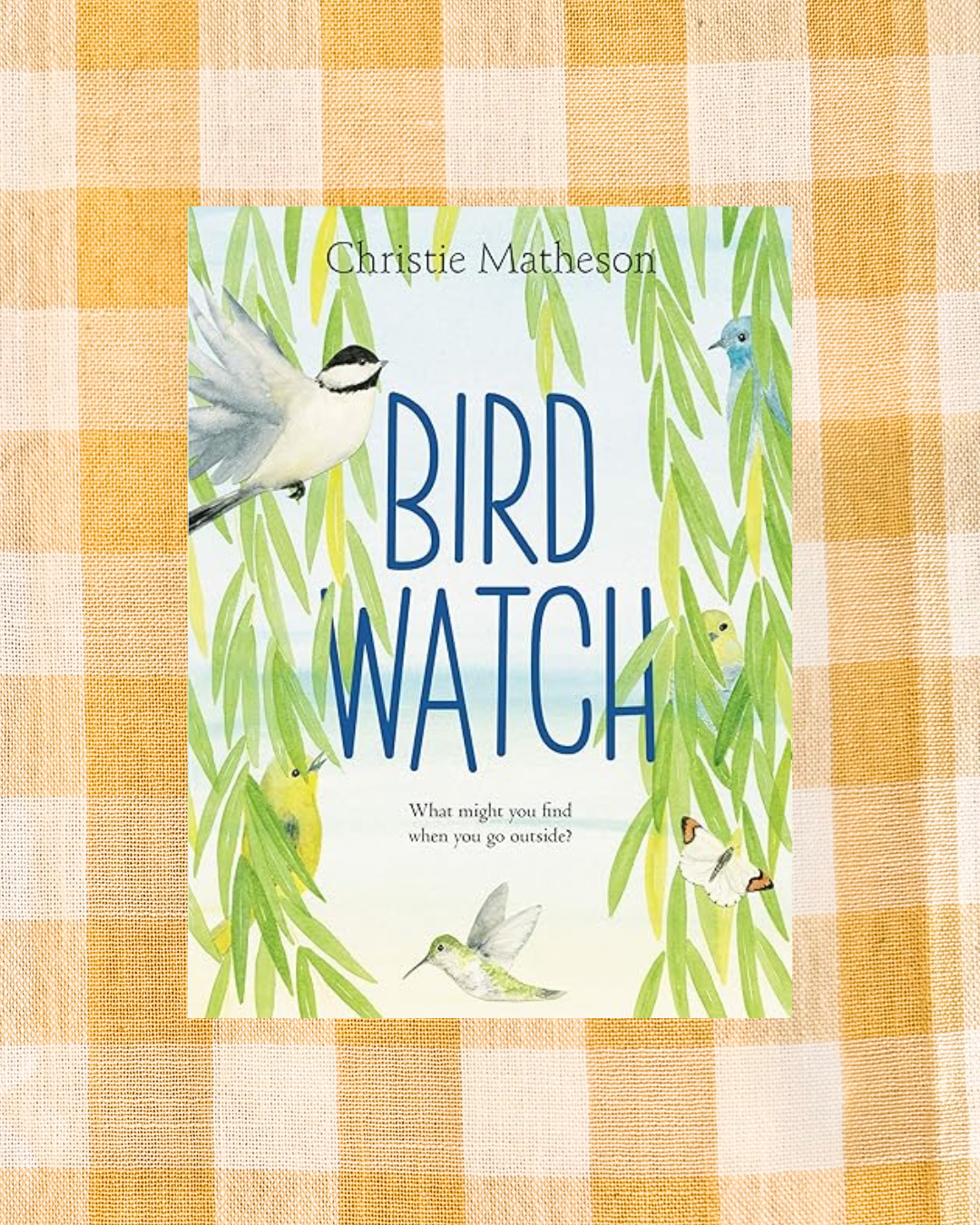 background website photos (25).png