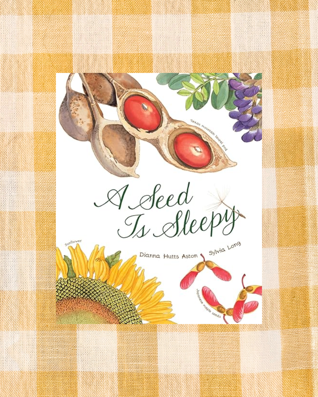 background website photos (2).png