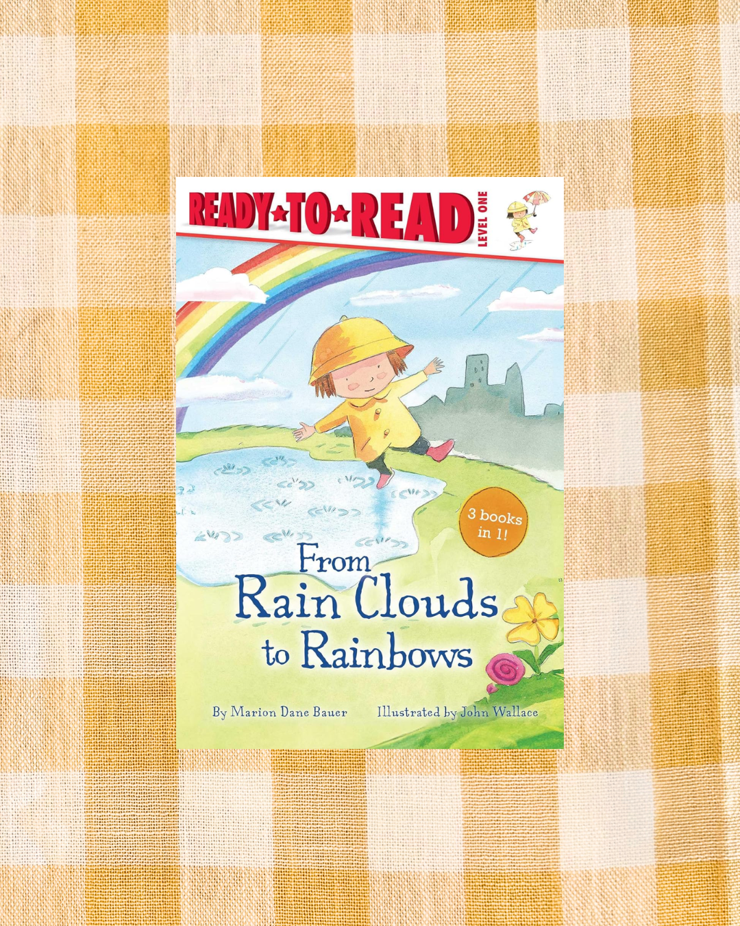 From Rain Clouds to Rainbows (Ready-to-Read Level 1)