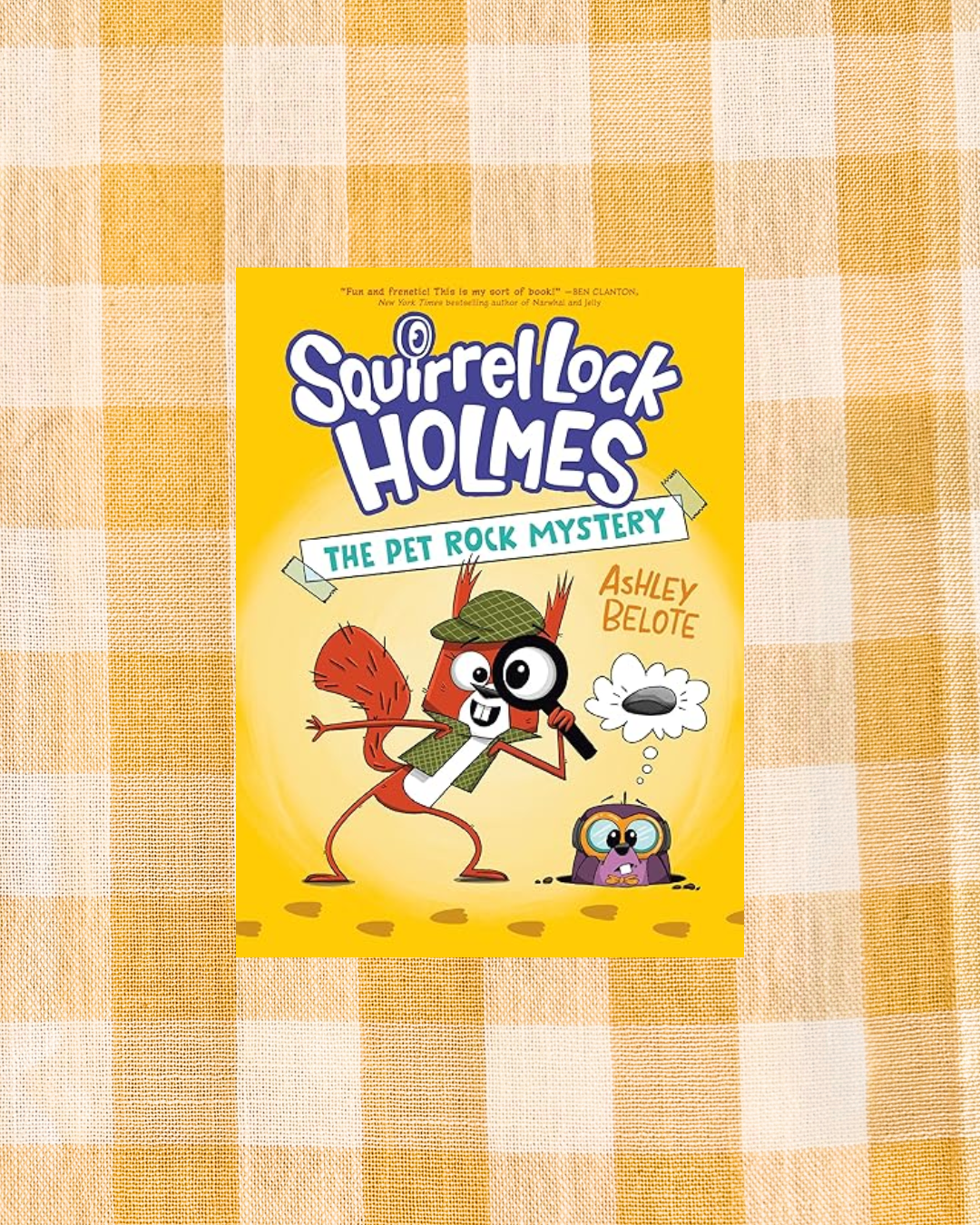 The Pet Rock Mystery (Squirrel Lock Holmes #1)