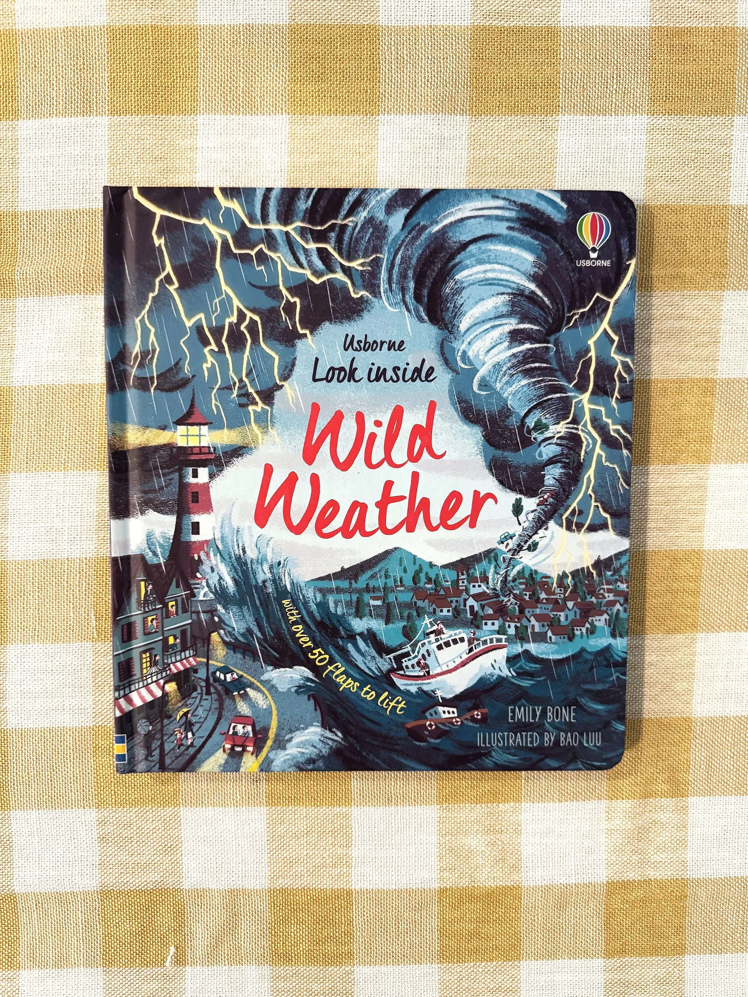 Look Inside Wild Weather (Lift-the-Flap)