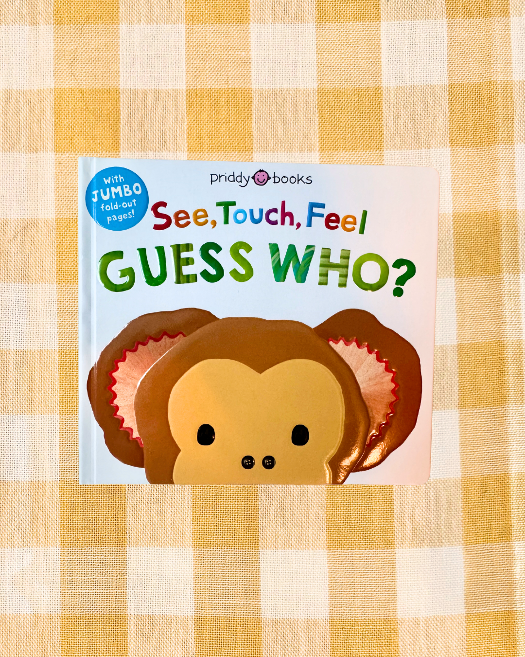 See, Touch, Feel: Guess Who?