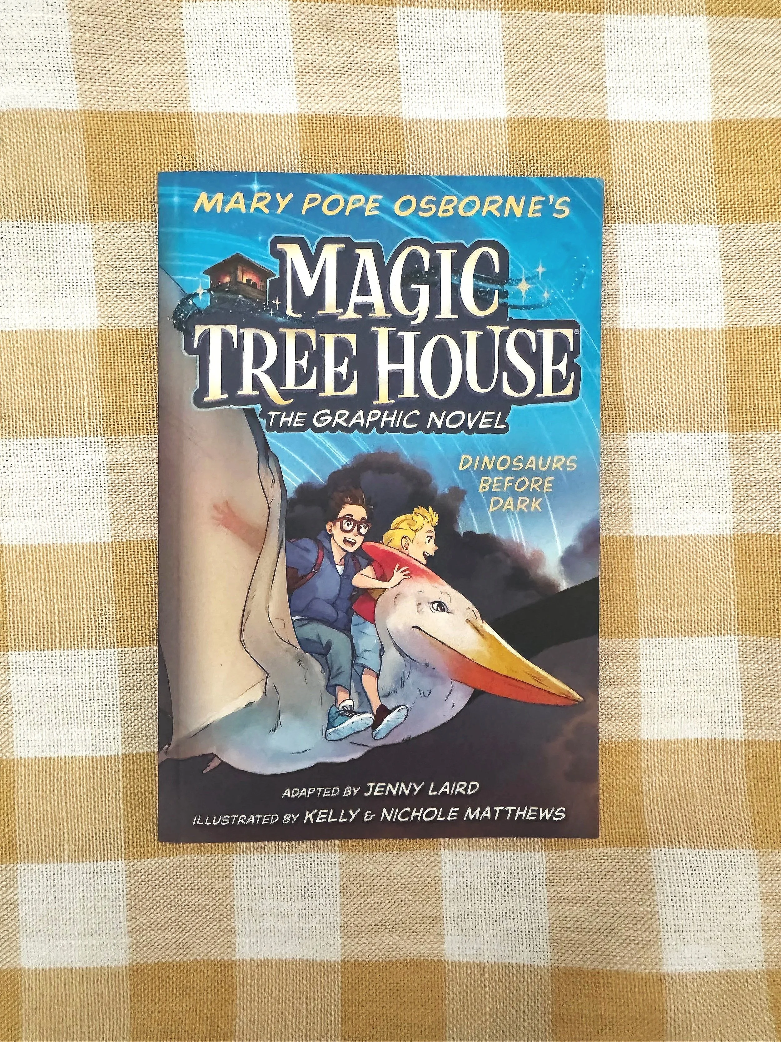 USED - Dinosaurs Before Dark Graphic Novel by Mary Pope Osborne (Like New)