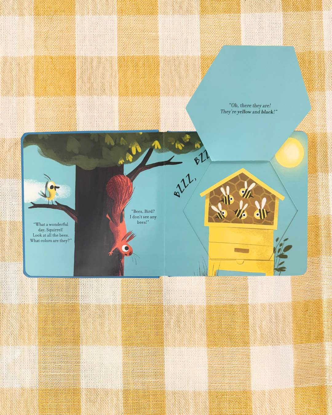 background website photos (14).png