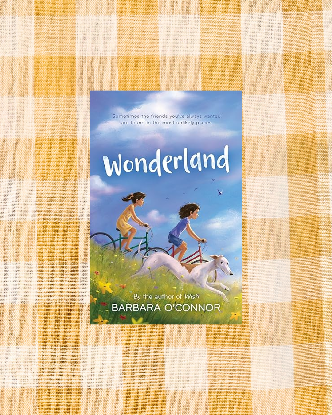 background website photos (71).png