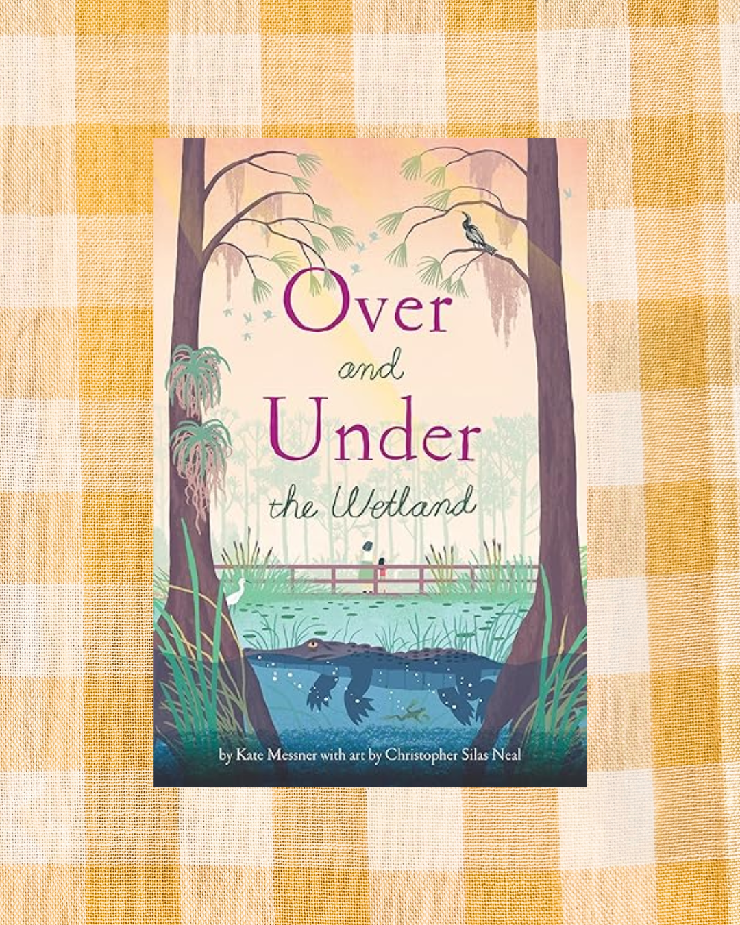 background website photos (4).png