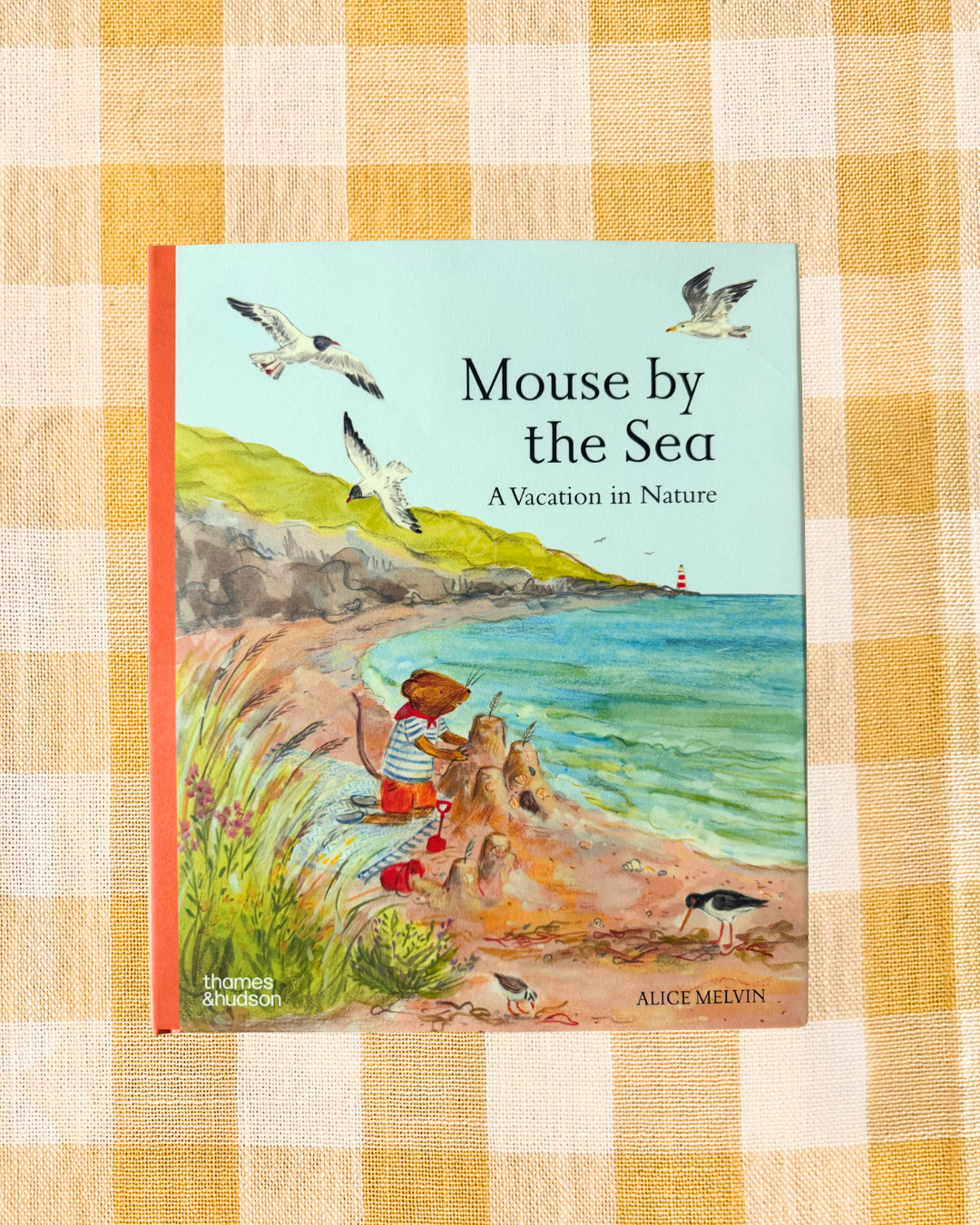 Mouse by the Sea