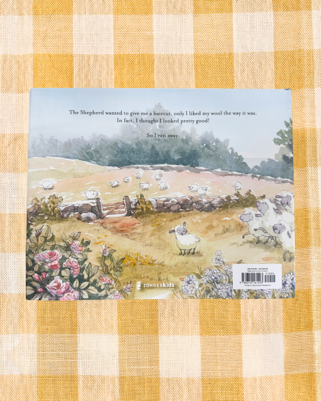 background website photos - 2026-06-18T102708.889.png