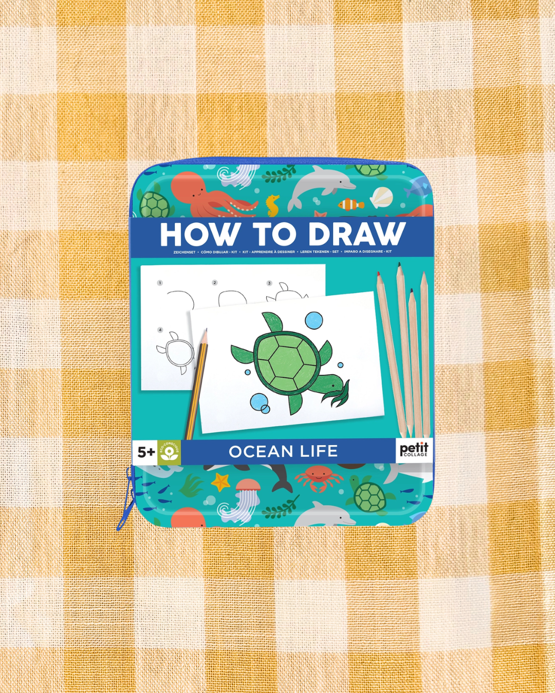 How to Draw Ocean Life