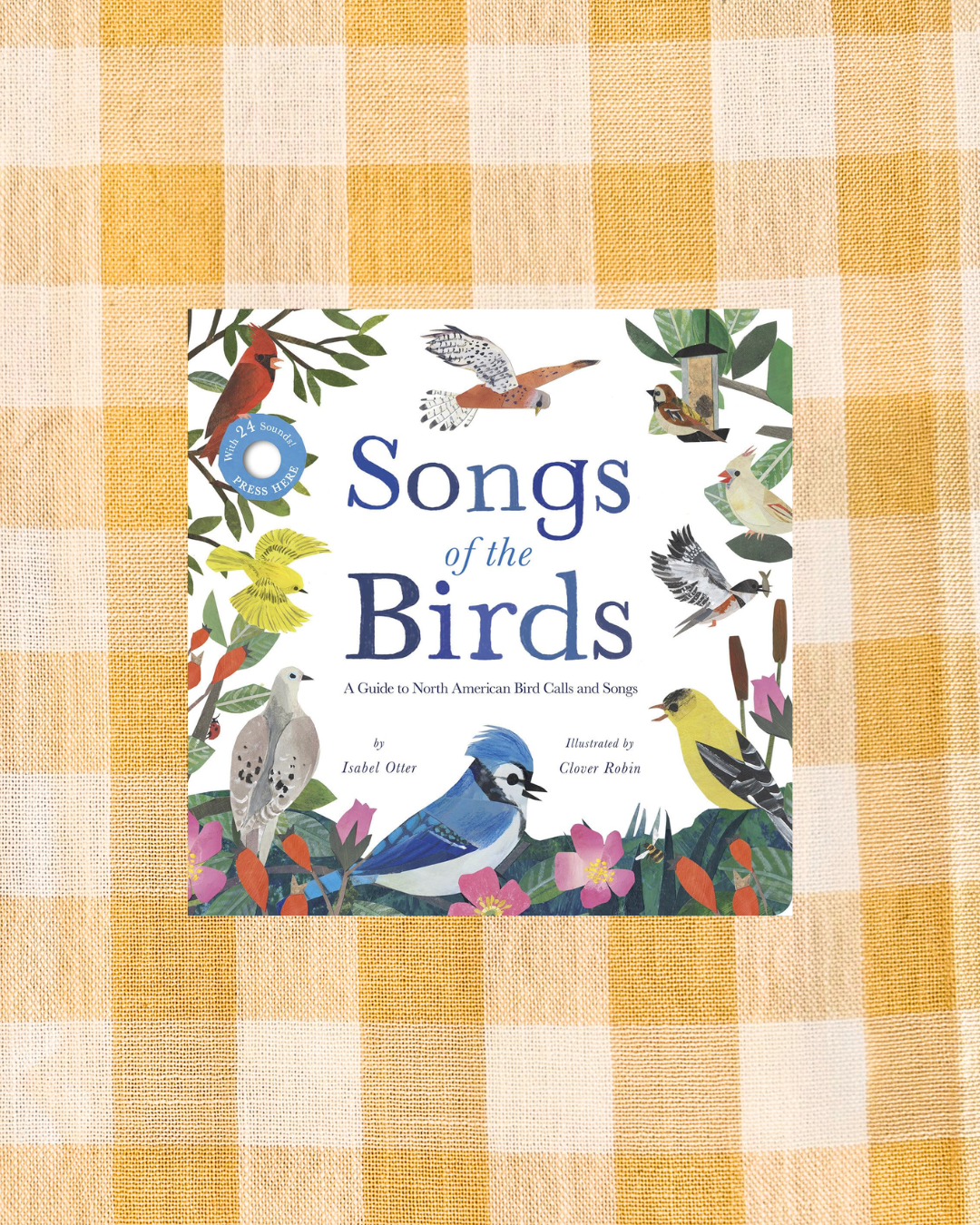 background website photos (41).png