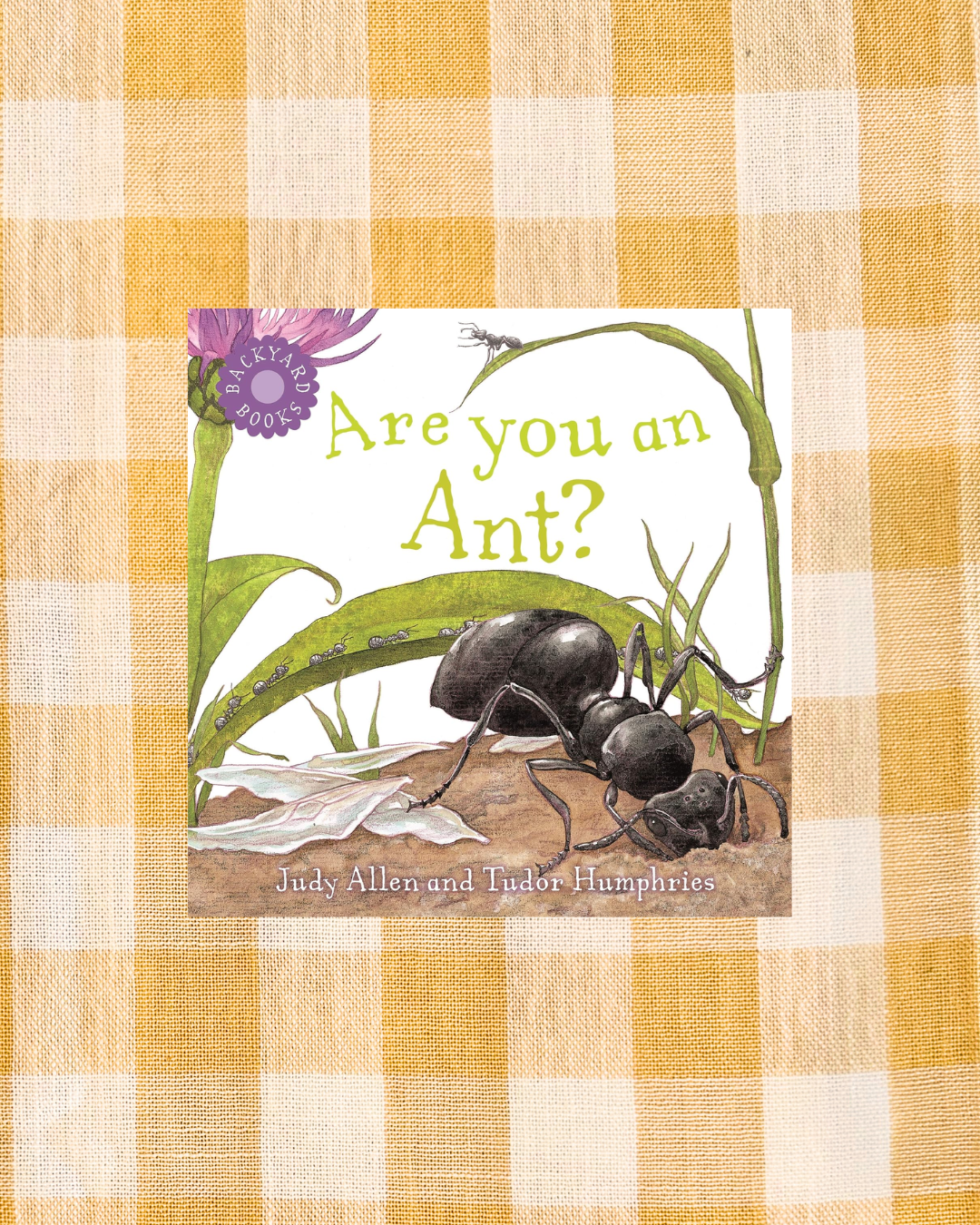 Are You an Ant?