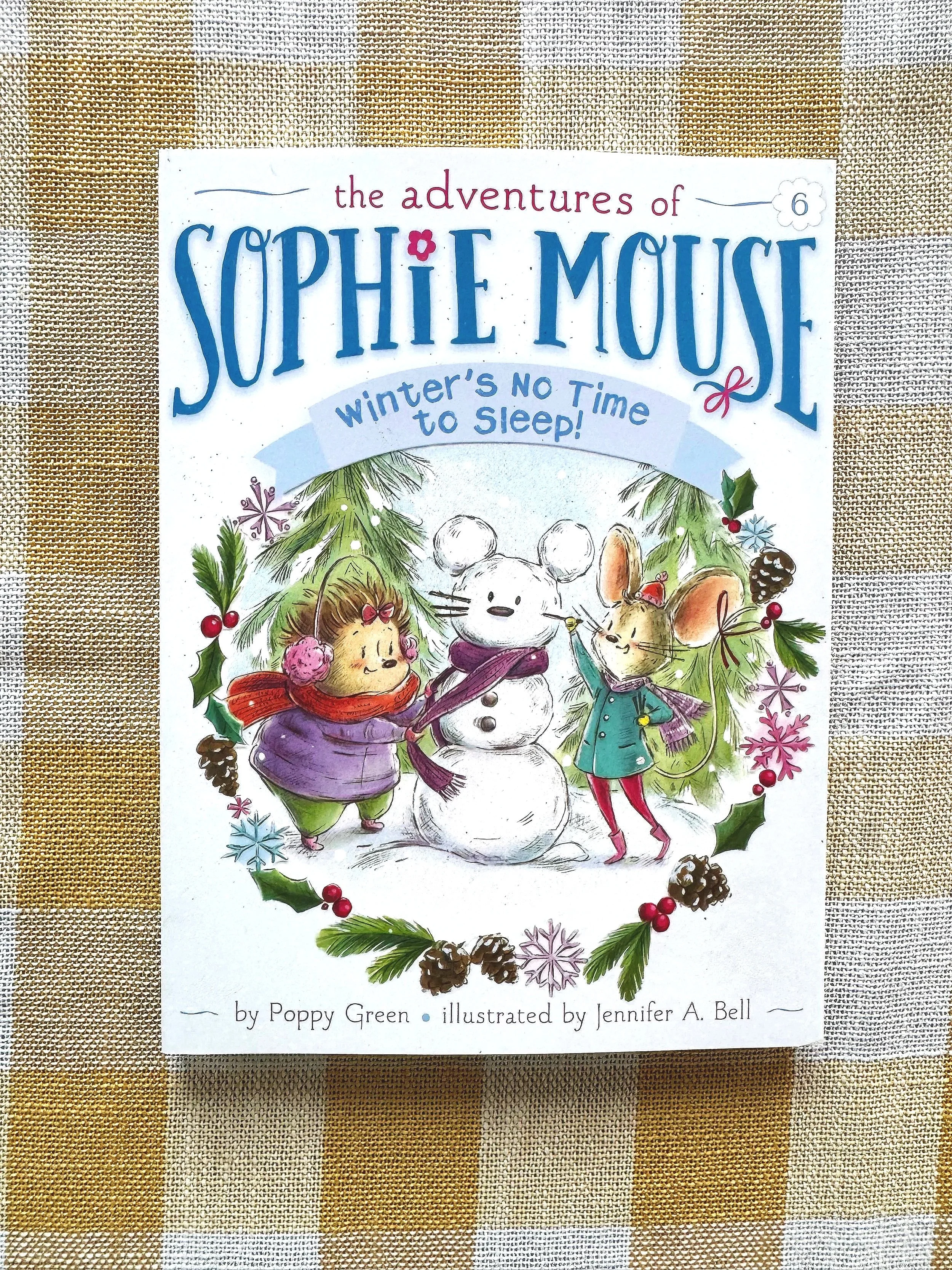 Winter's No Time to Sleep! (The Adventures of Sophie Mouse)