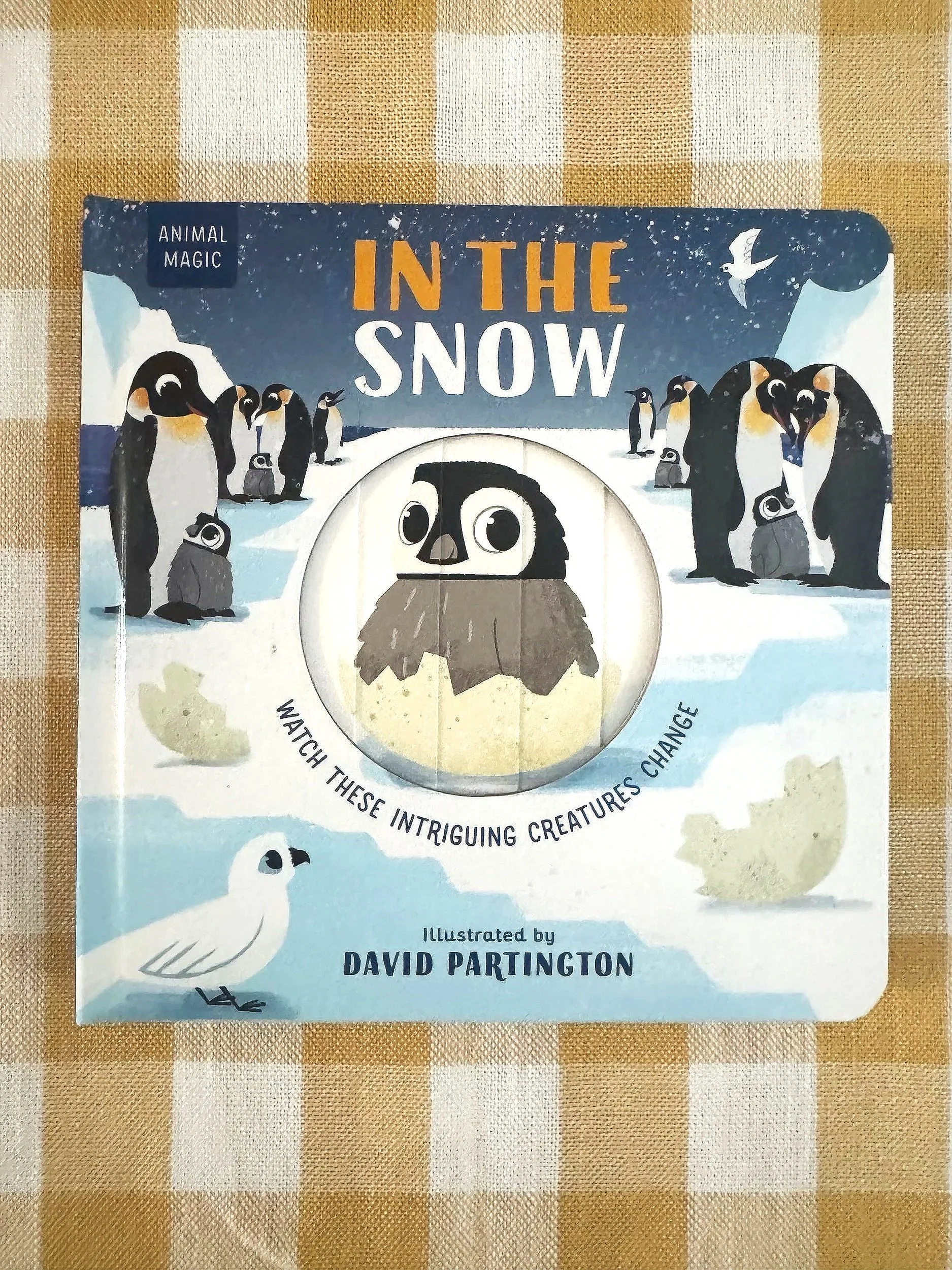 Animal Magic: In the Snow