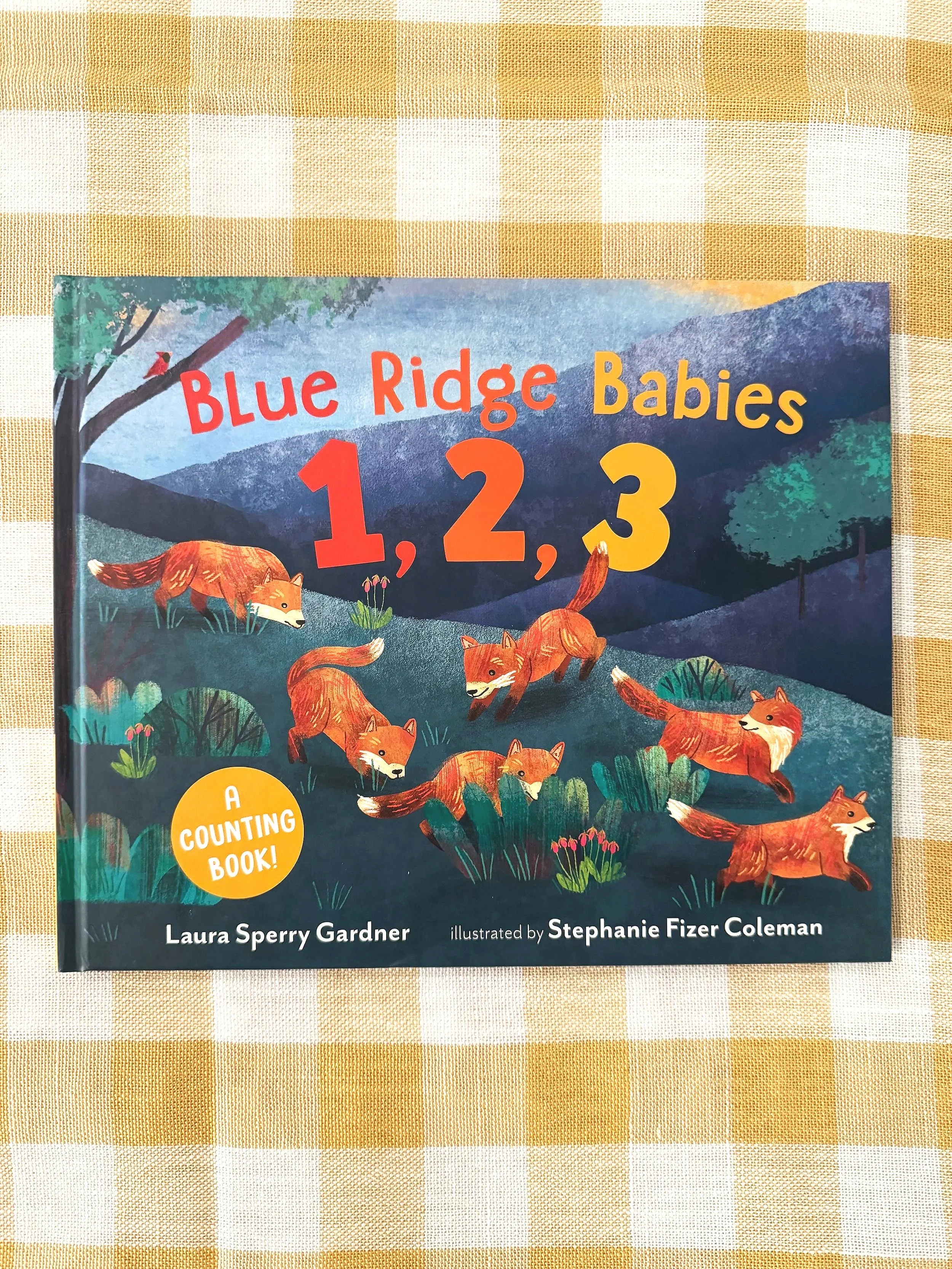 Blue Ridge Babies 1,2,3 by Laura Sperry Gardner