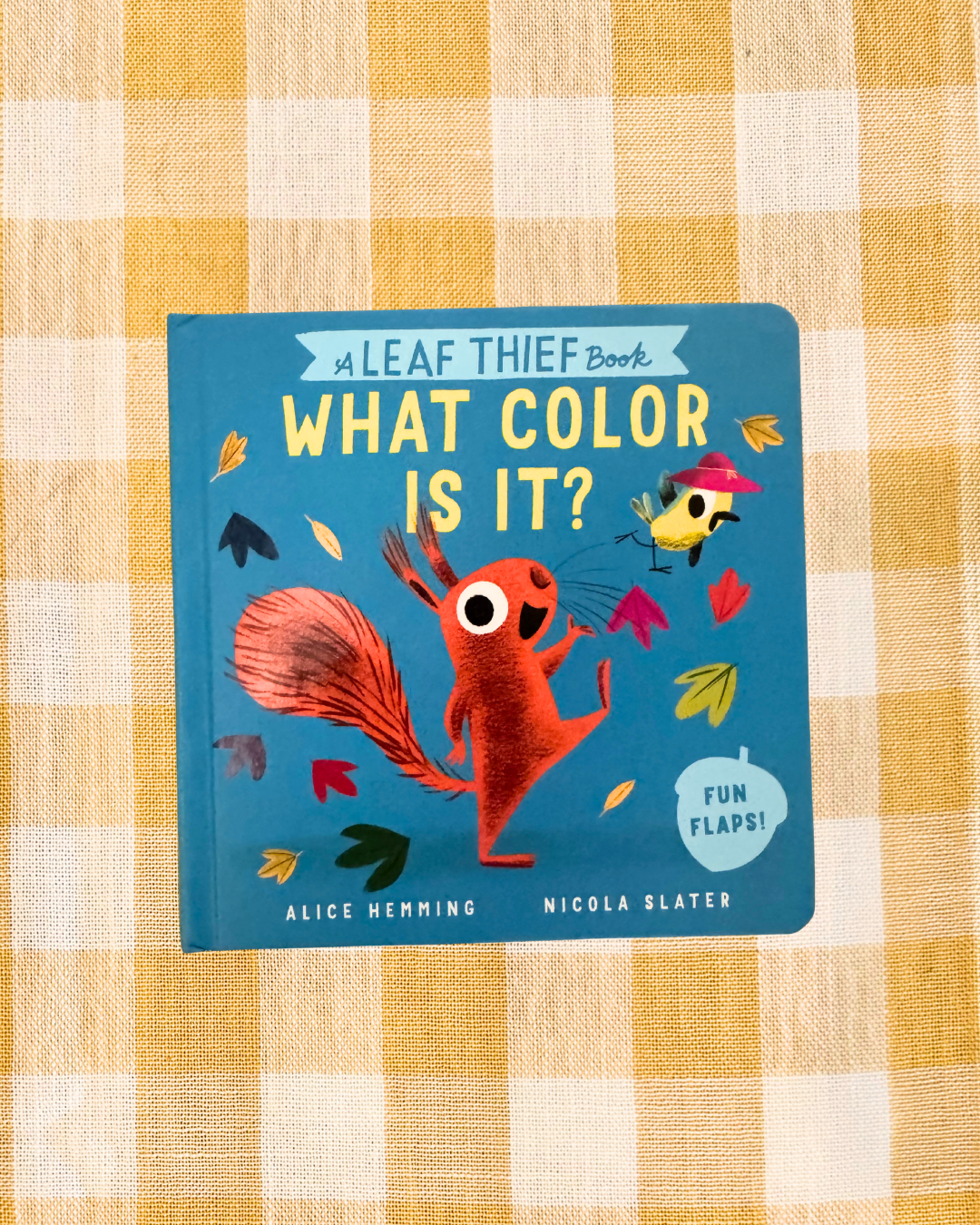 background website photos (12).png