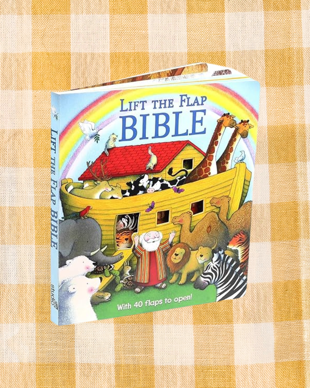 background website photos (58).png