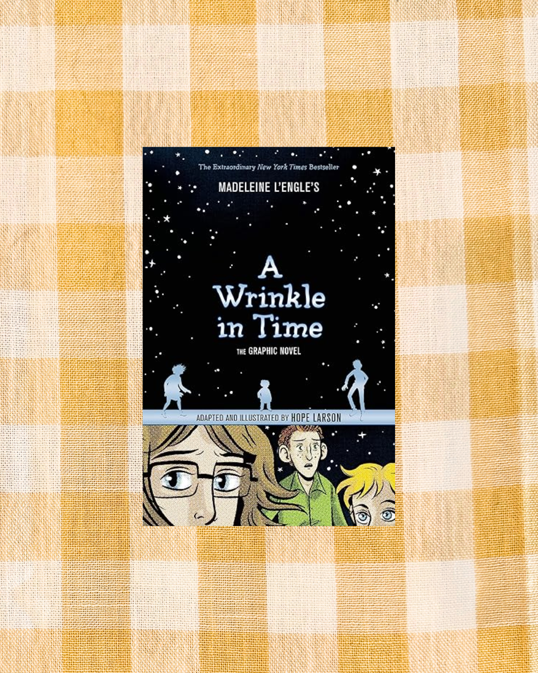 A Wrinkle in Time (The Graphic Novel)