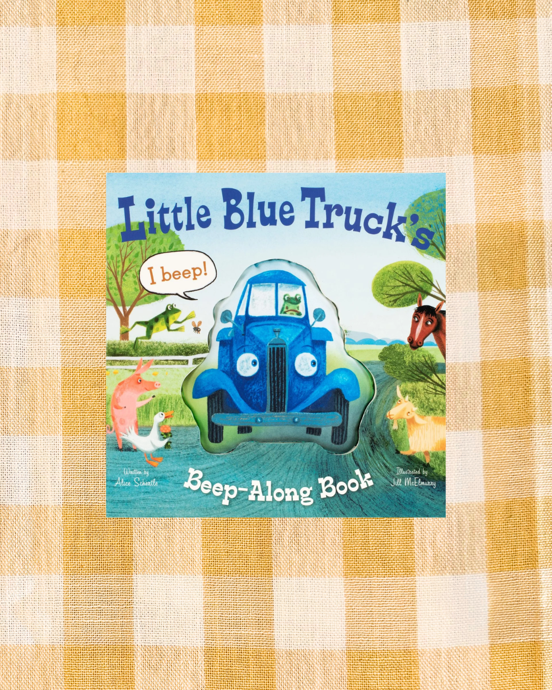 background website photos (61).png