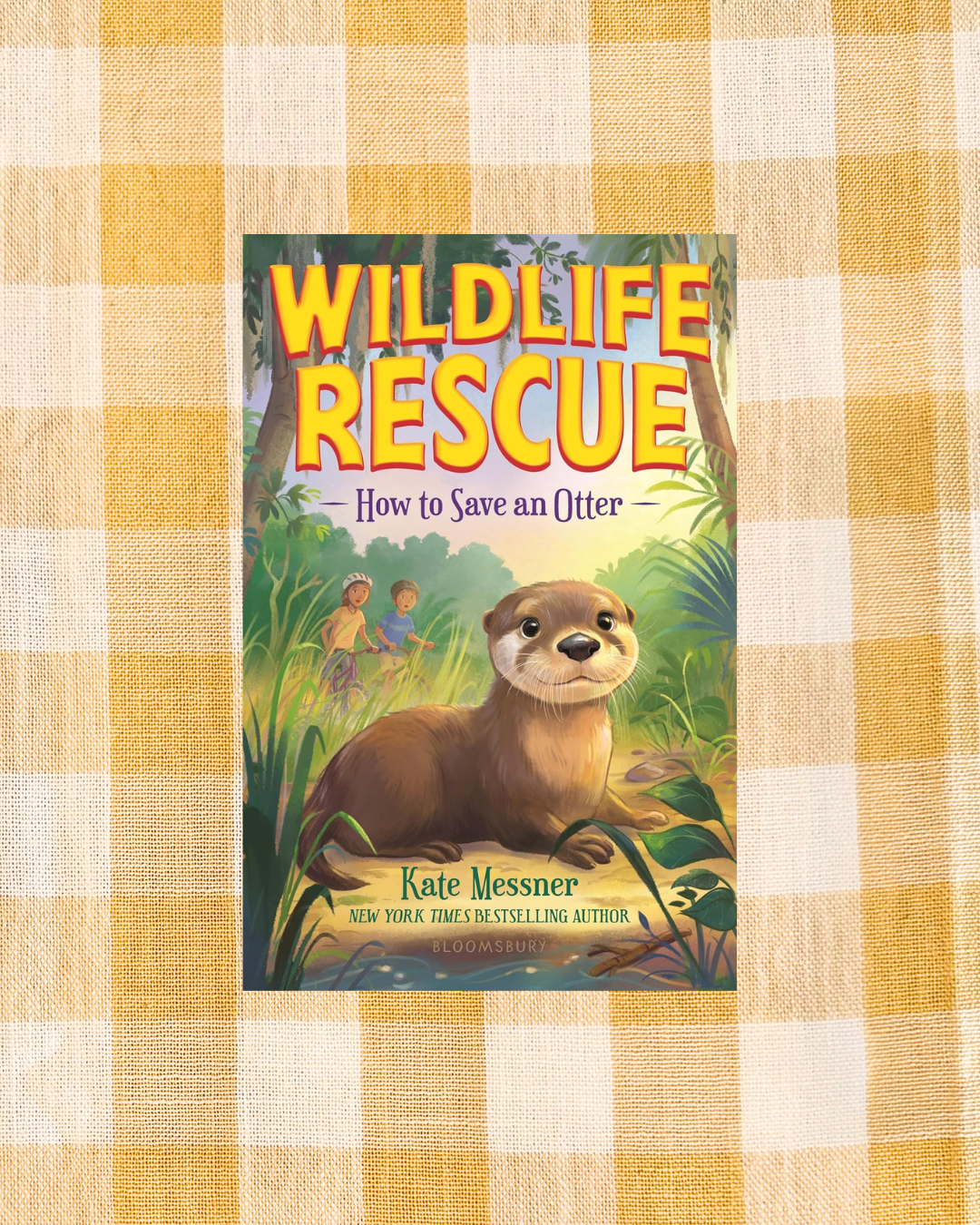 background website photos (73).png