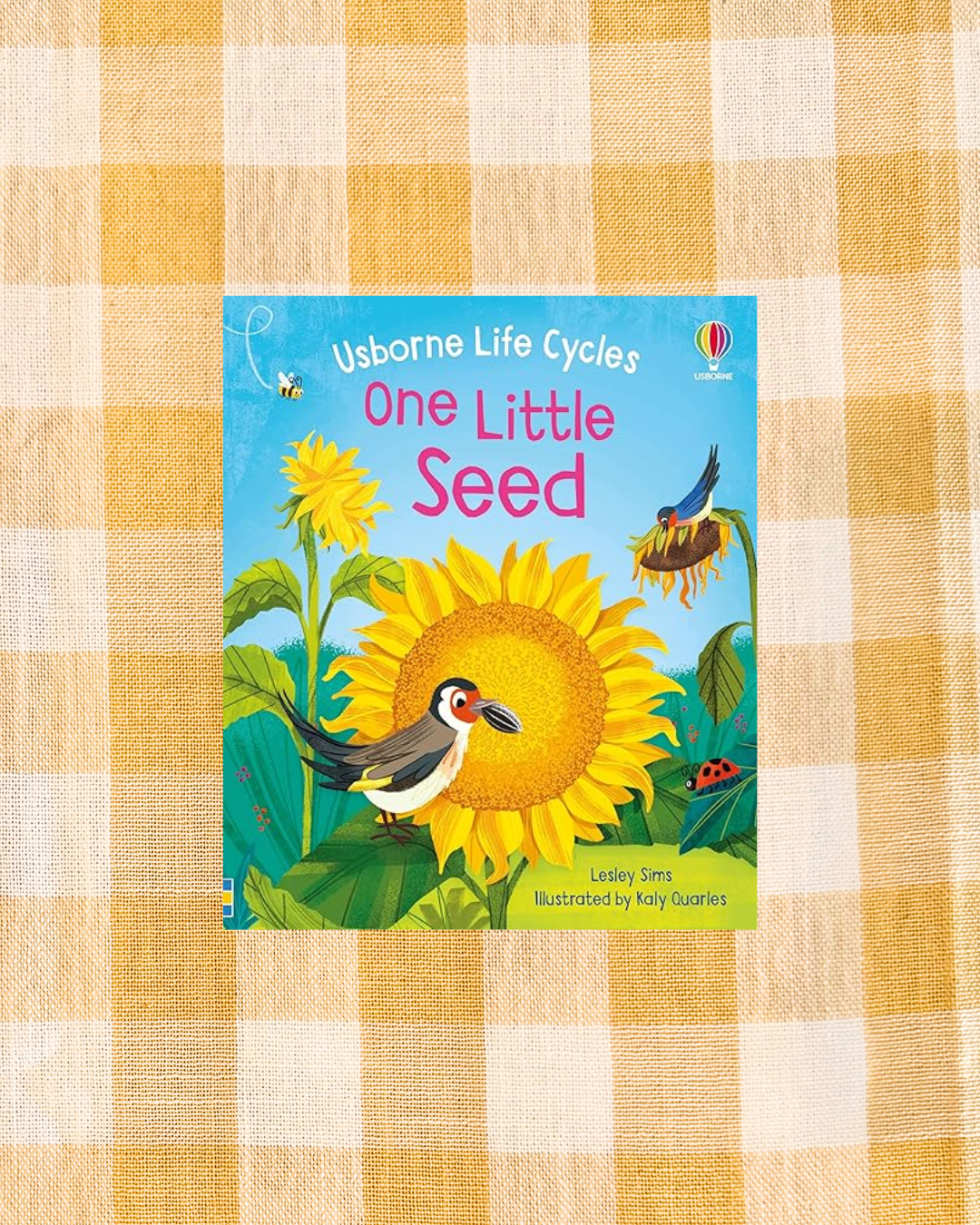 background website photos (84).png