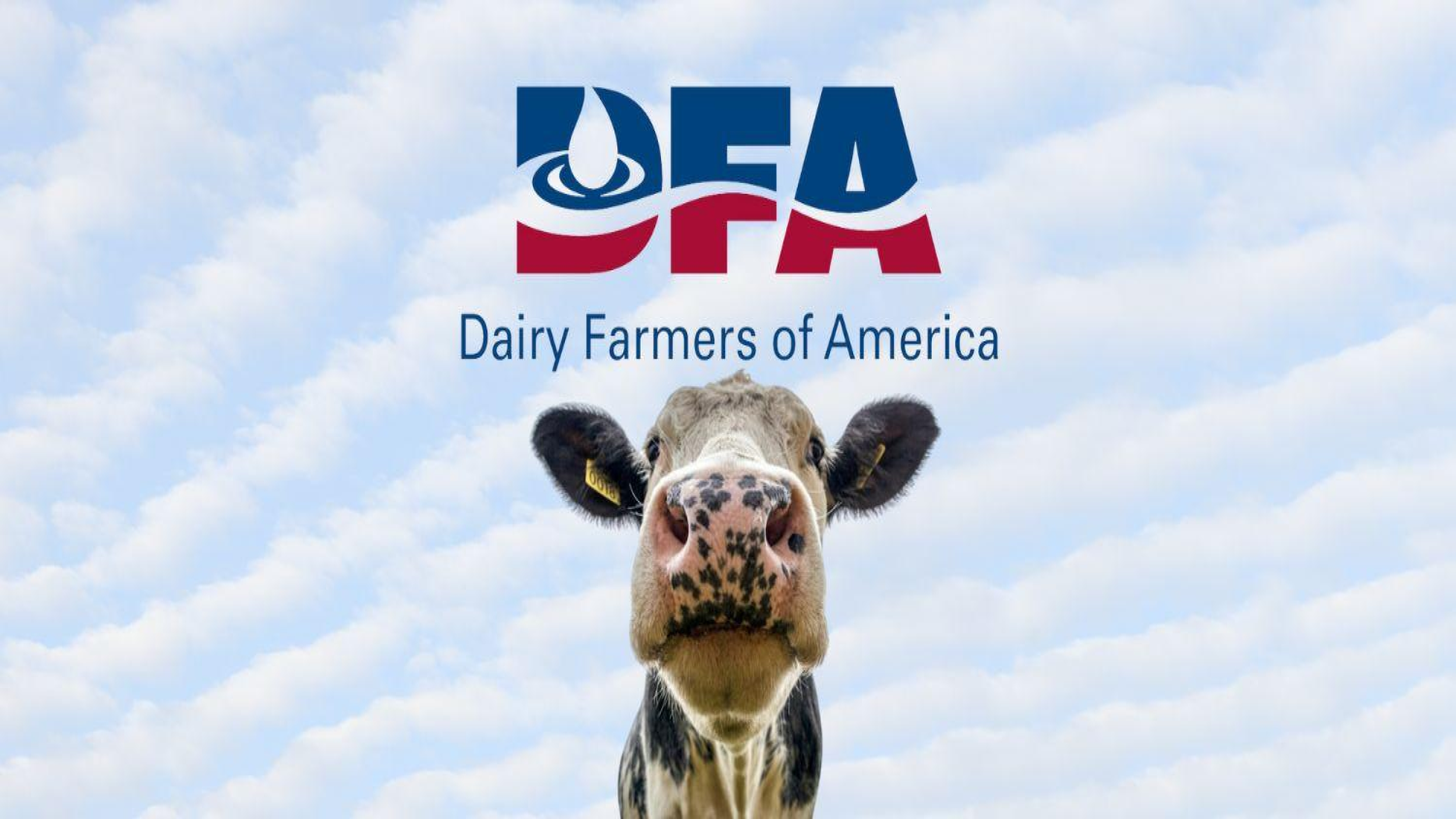 DAIRY FARMERS OF AMERICA
