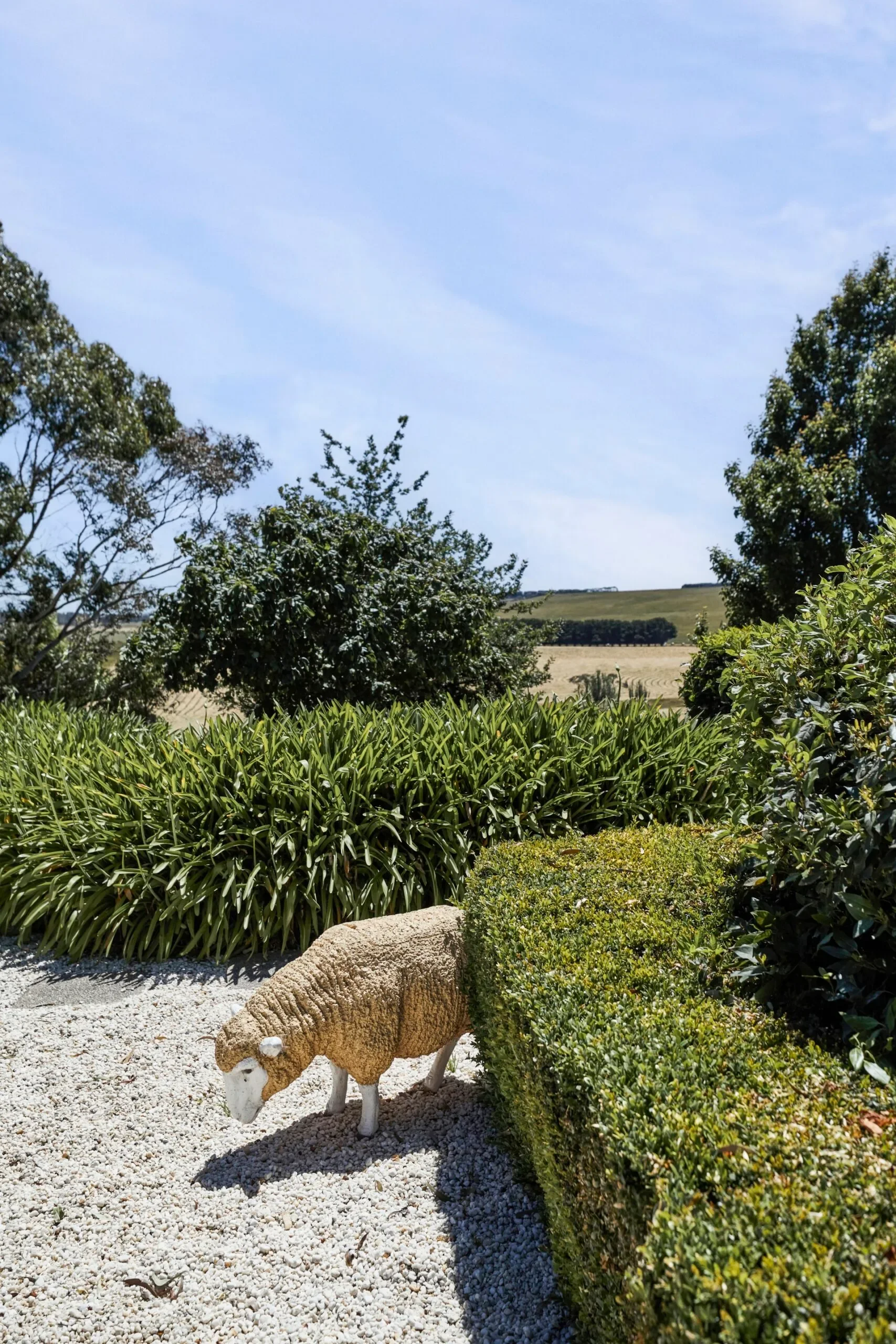 birregurra-vic-family-home-exterior-4-69f00cffca05d-scaled.webp