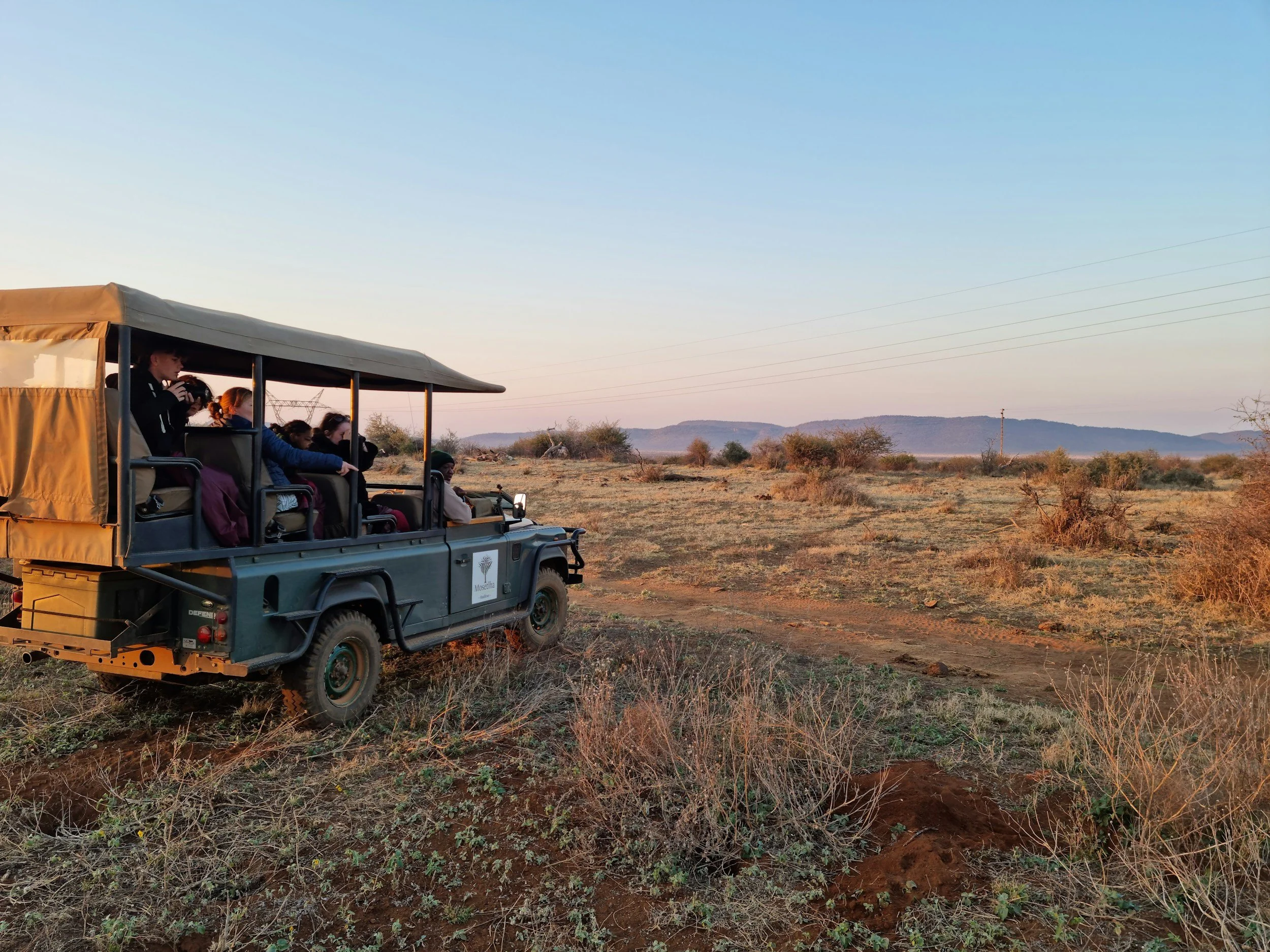 A First-Timer's Guide to Safari: Why We Start With South Africa