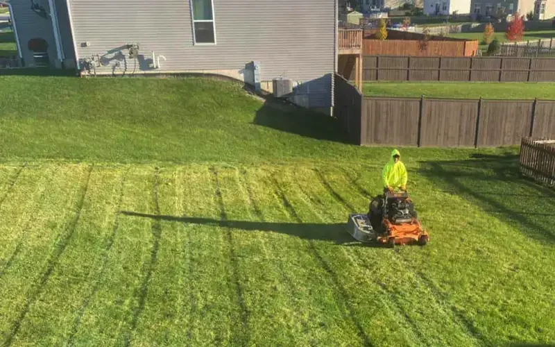 Newly mowed green lawn with parallel lines, surrounded by trees and a sidewalk. A trailer is parked on the street with orange cones nearby.