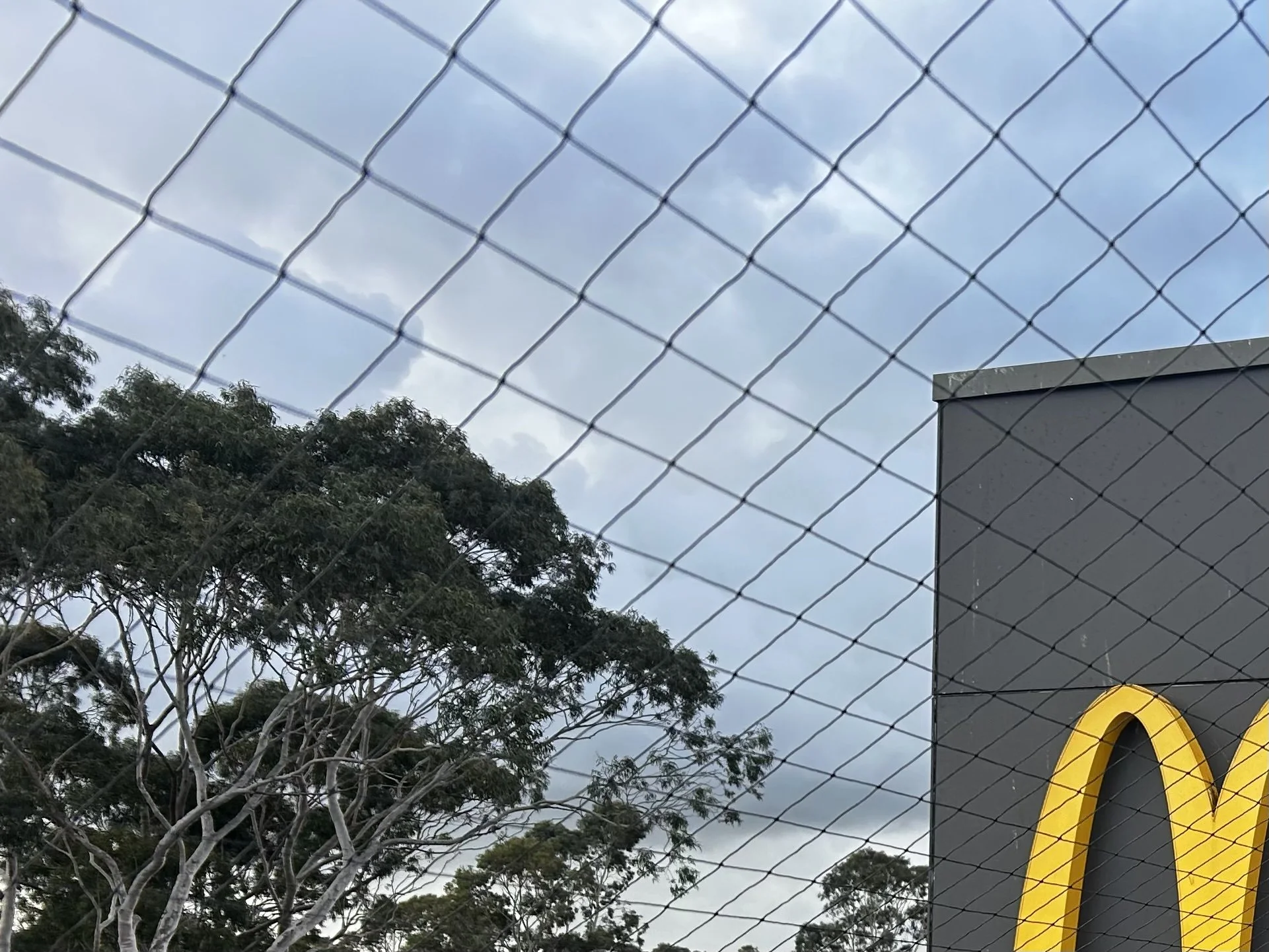 McNet.jpeg