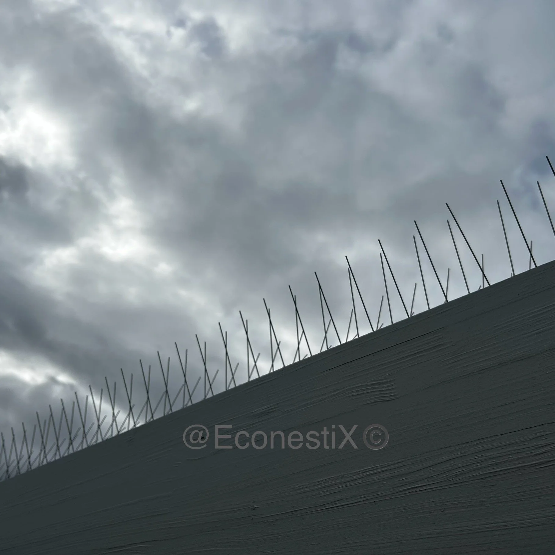 Bird spikes for the gulag aesthetic .jpeg