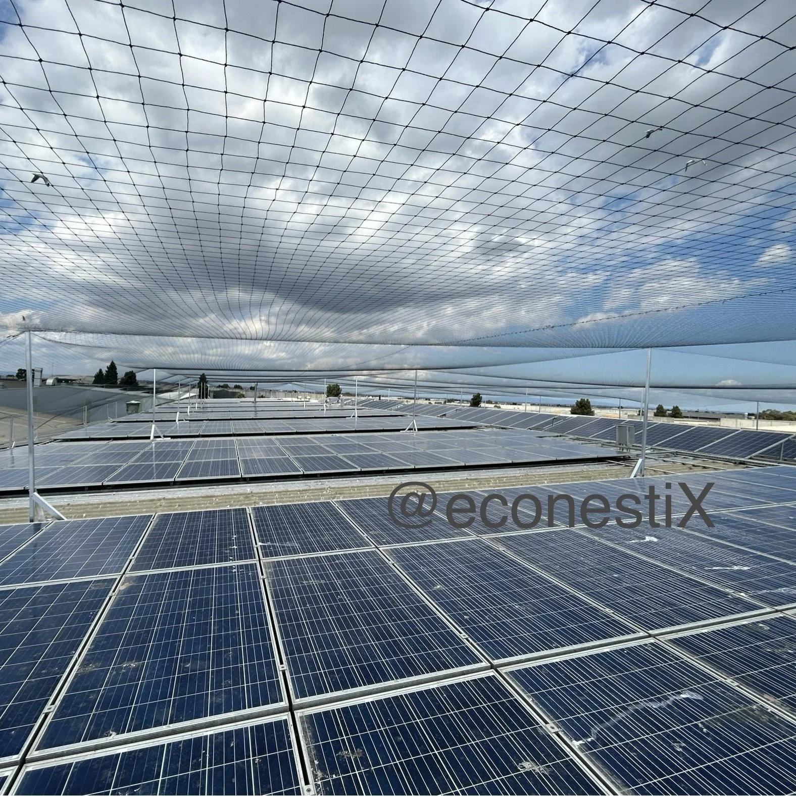 Commercial roof birdproof solutions showing how econestix bird proofing experts install the best commercial bird control nets in Australia Victoria Melbourne
