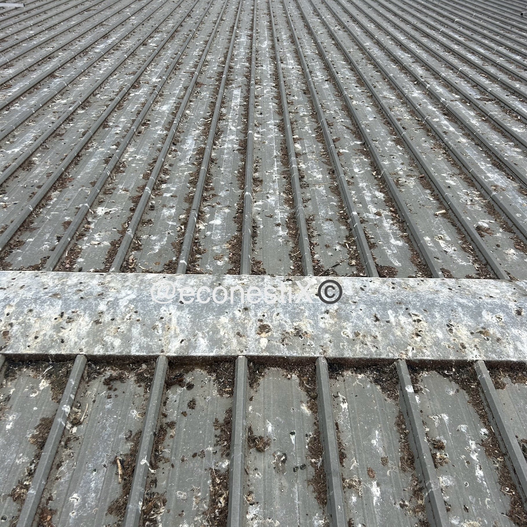 Close-up of a factory tin roof, rusty and dirty with bird droppings, showing the risks to health of workers that pest birds pose.