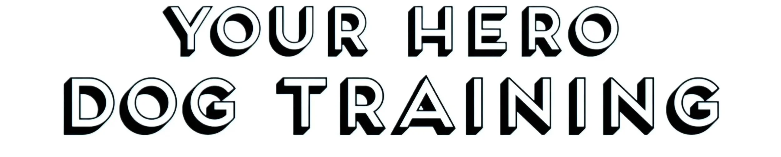 Text on a white background that says, 'Your Hero Dog Training' in stylized black and white font with shadowing.