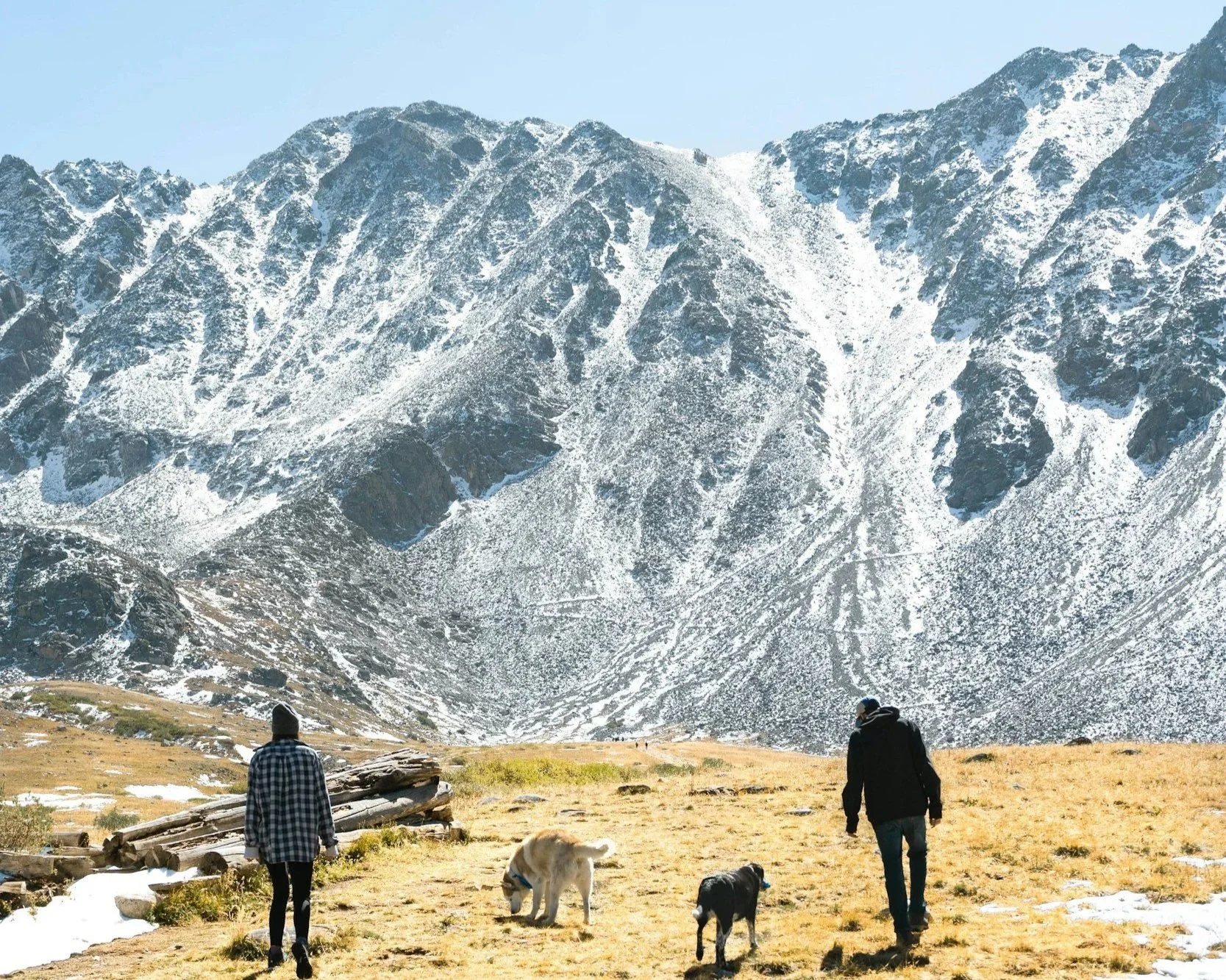 Two people walking dogs in a mountainous landscape with snow-covered peaks and a grassy foreground.