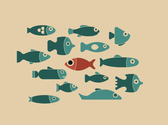 Fish Oil- more than just skin and coat! 