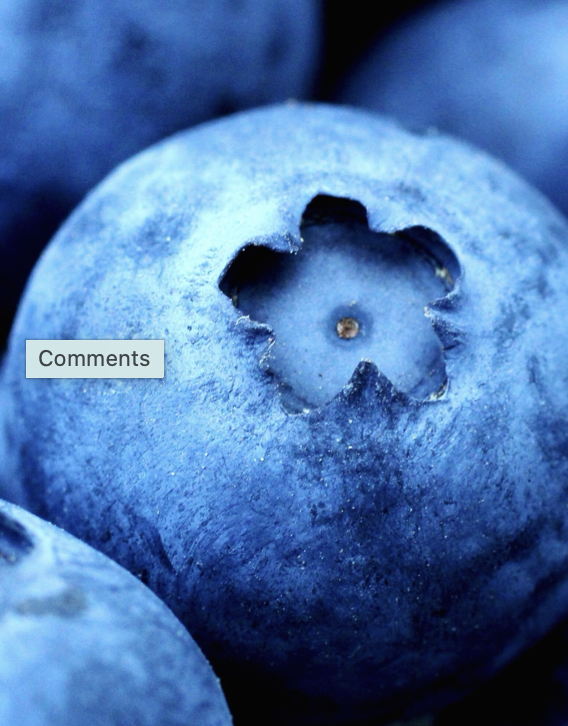 Antioxidants, Pain, and the Nervous System: Why This Matters for Your Dog