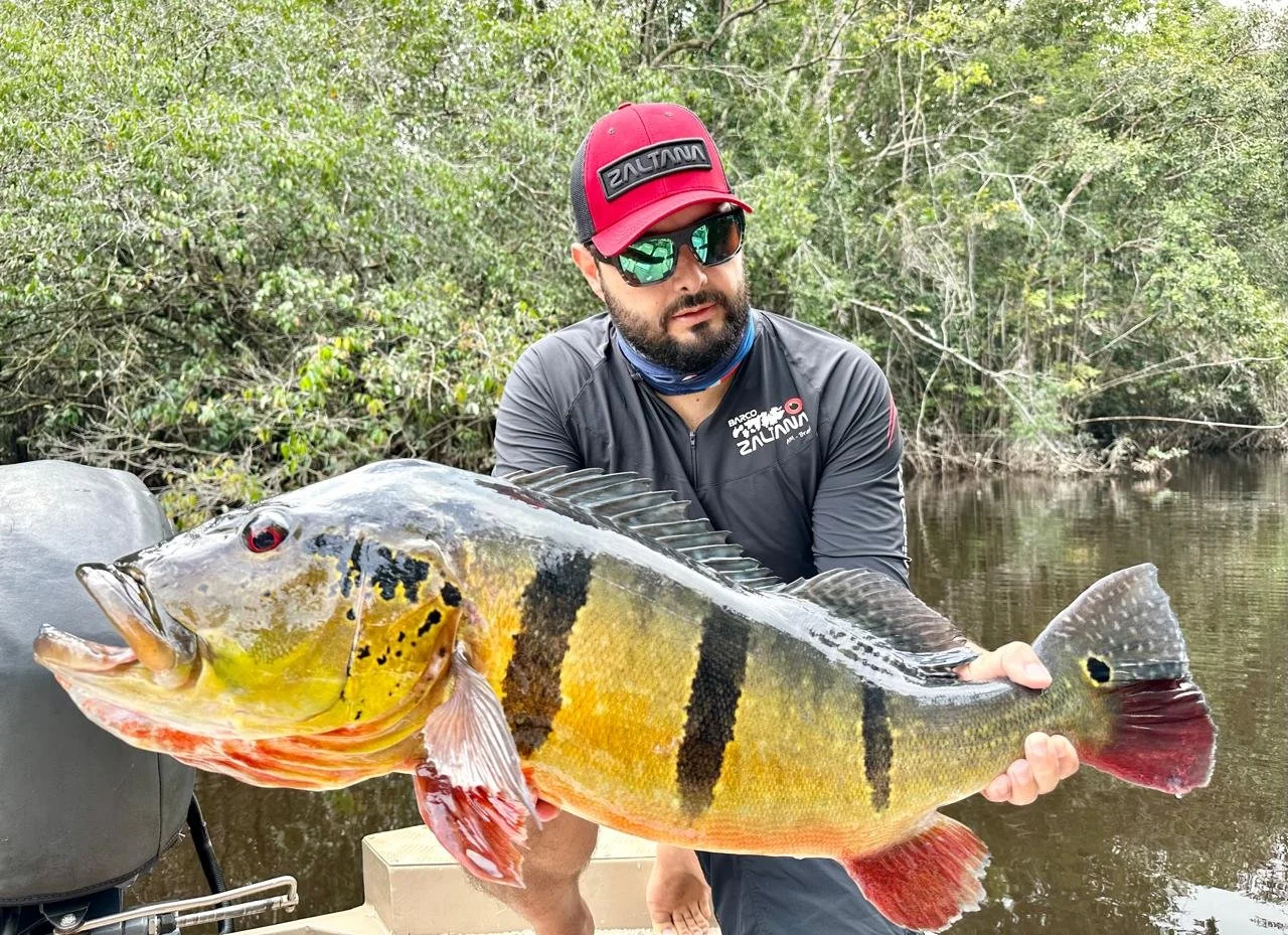 WhatsApp Image 2025-12-10 at 16.08.38.jpeg