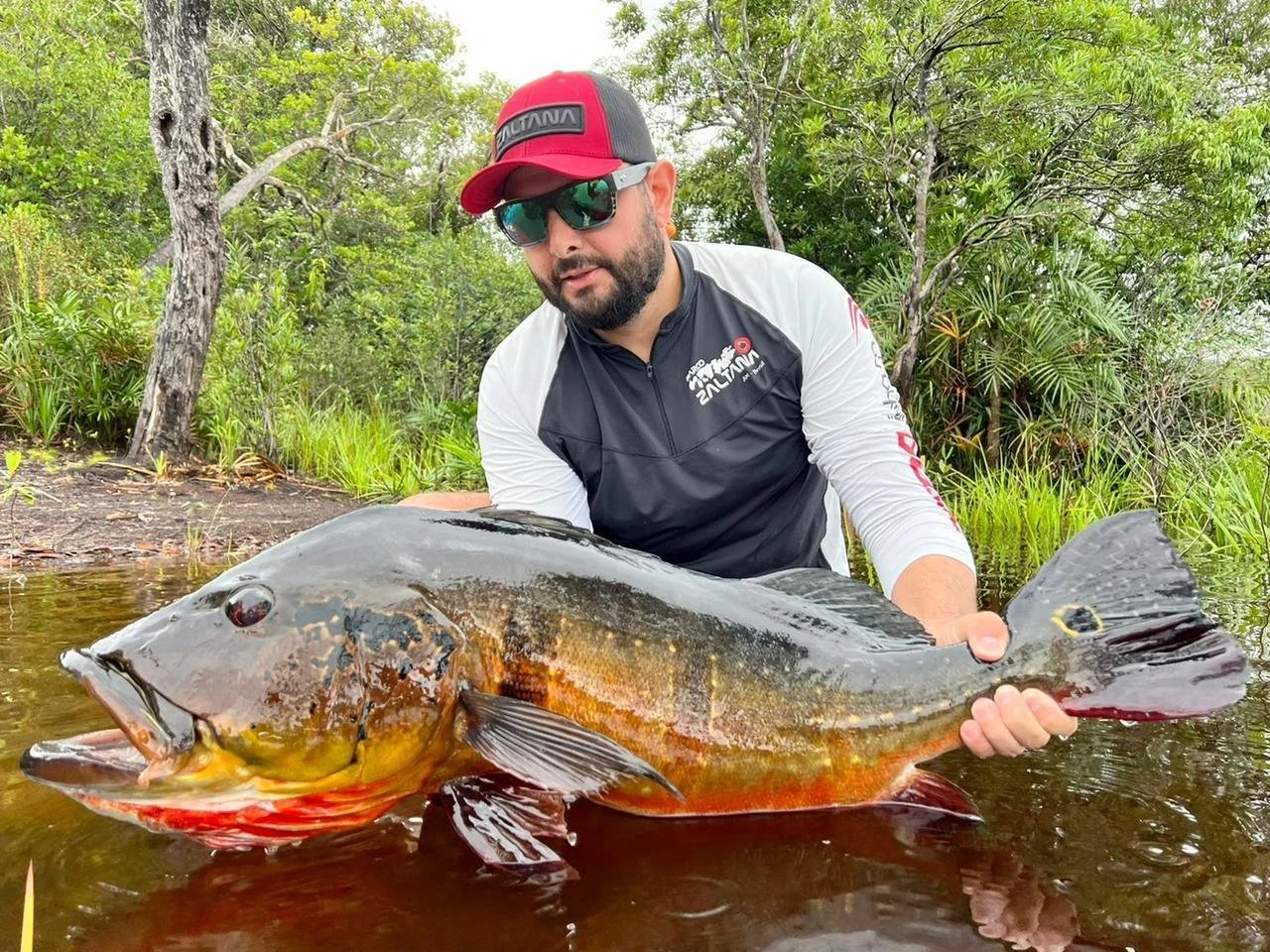 WhatsApp Image 2025-12-10 at 16.08.39.jpeg