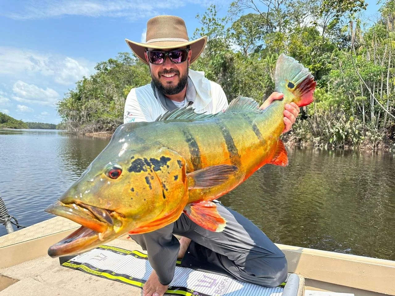 WhatsApp Image 2025-12-10 at 16.16.59.jpeg