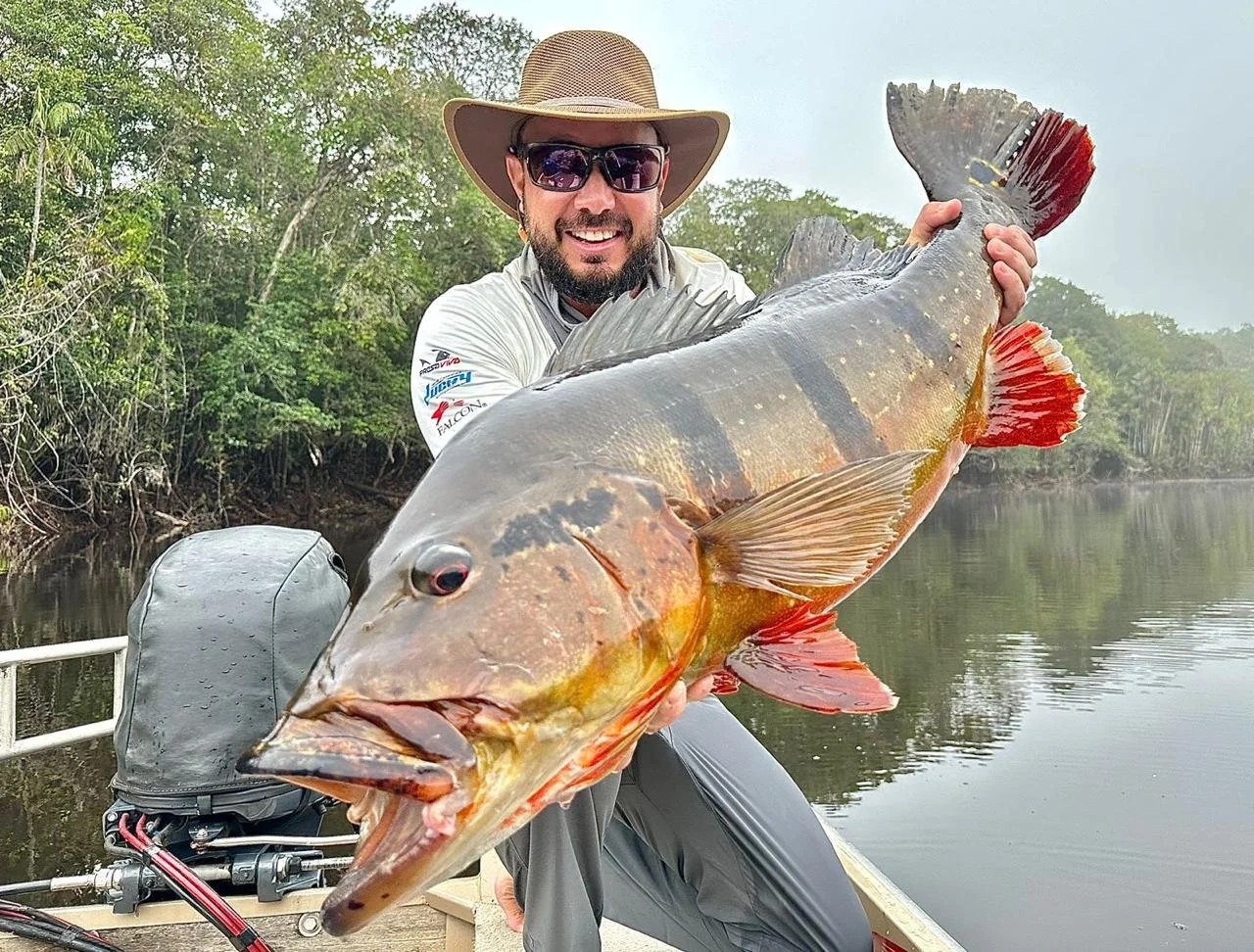 WhatsApp Image 2025-12-10 at 16.16.44.jpeg