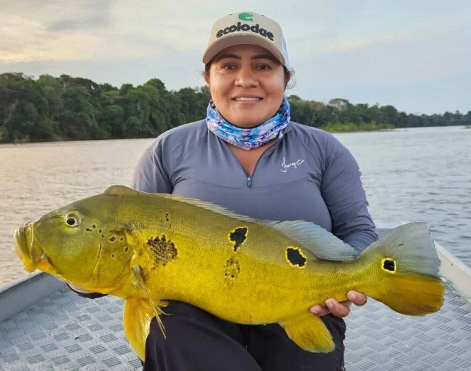 EcoLodge - Peacockbass