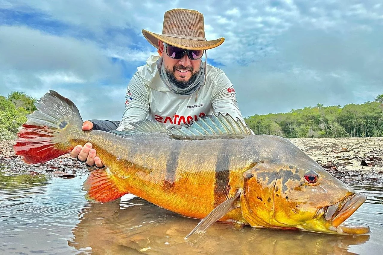 WhatsApp Image 2025-12-10 at 16.16.58.jpeg