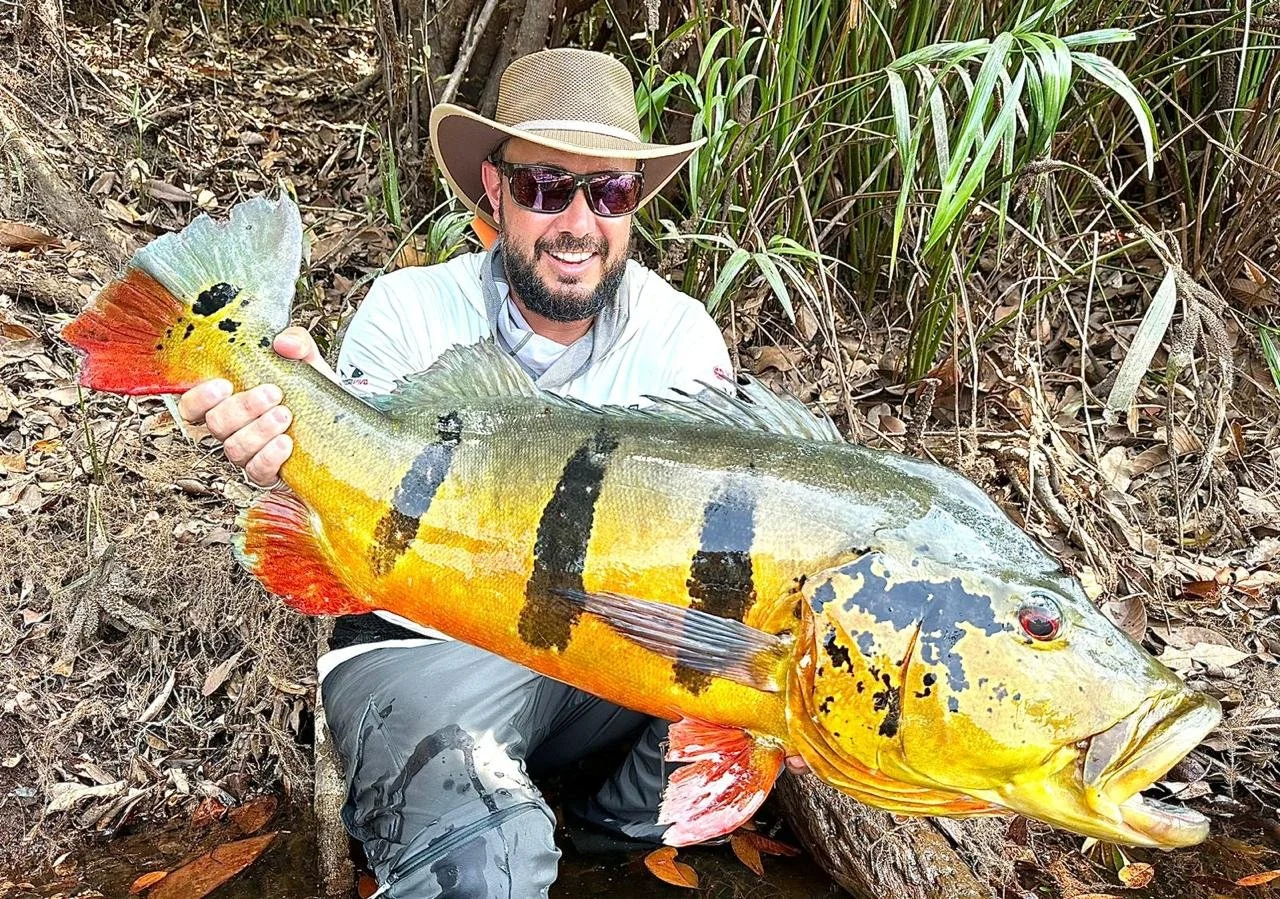 WhatsApp Image 2025-12-10 at 16.16.51.jpeg