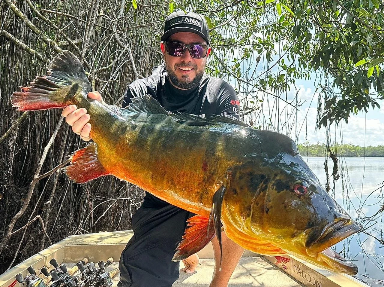 WhatsApp Image 2025-12-10 at 16.16.49.jpeg