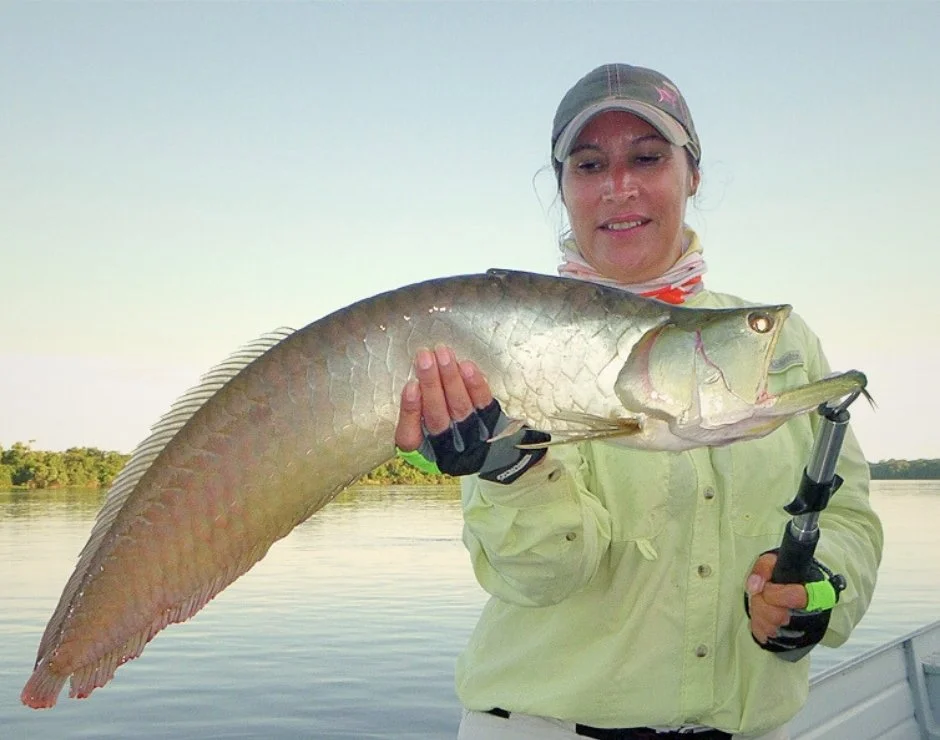 EcoLodge - Arowana Fish