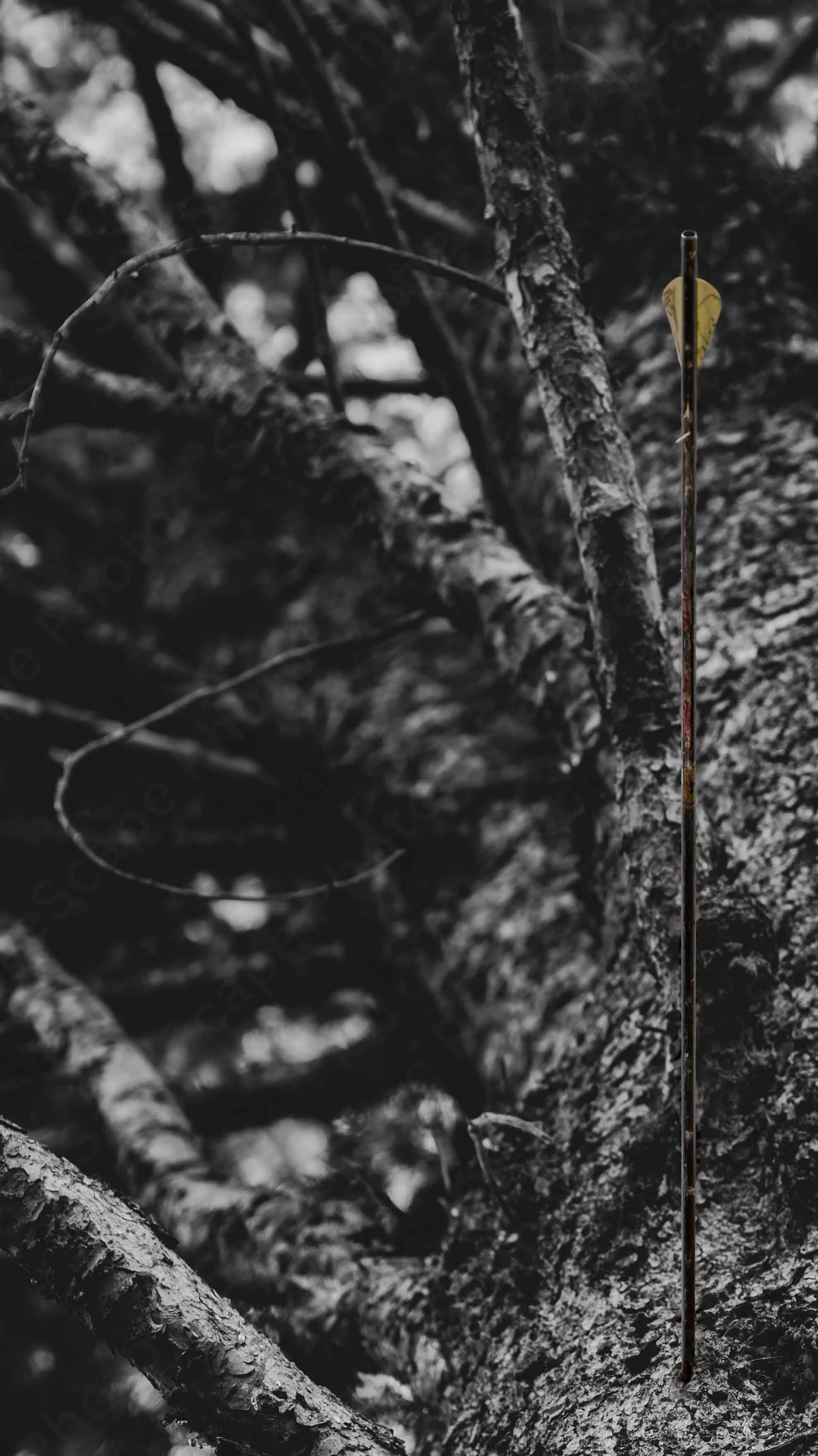 Silent Wound