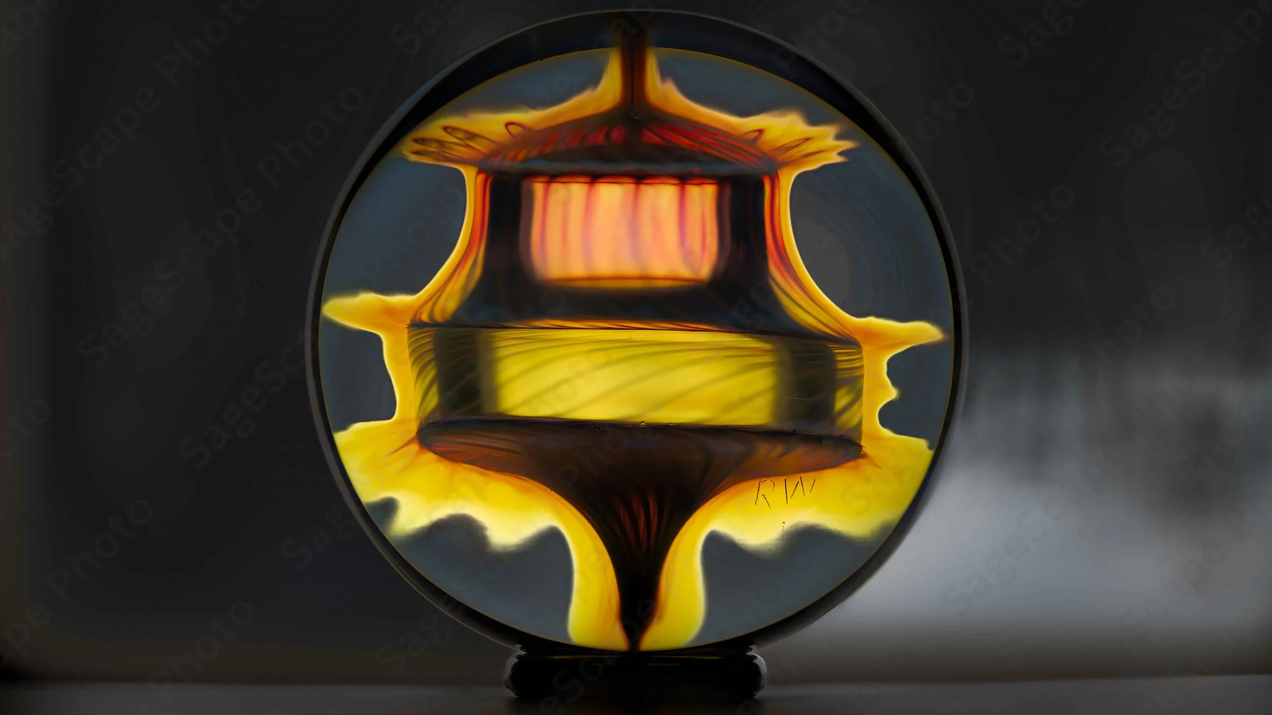 Top Spin