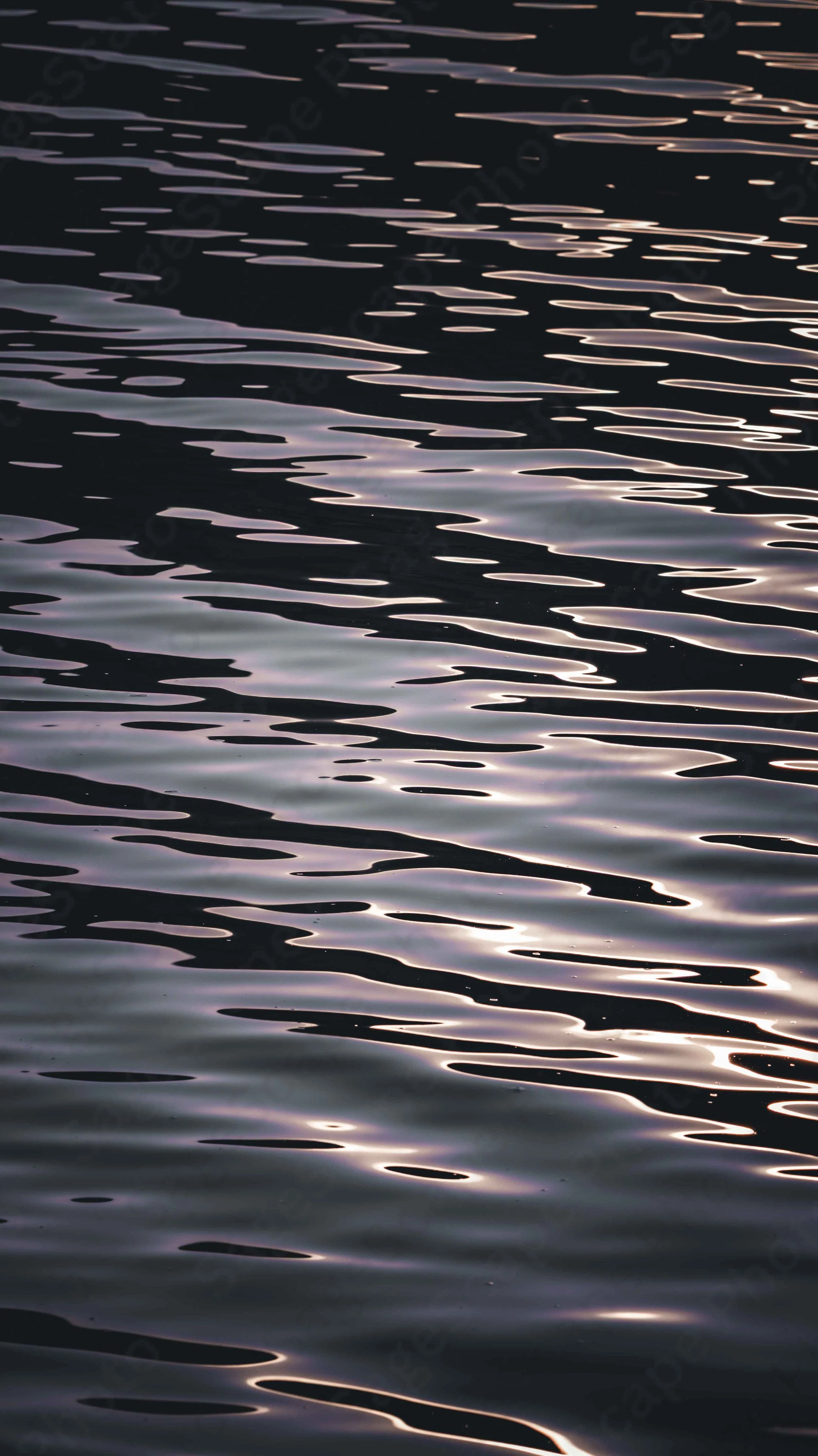 Silver-laced Ripples