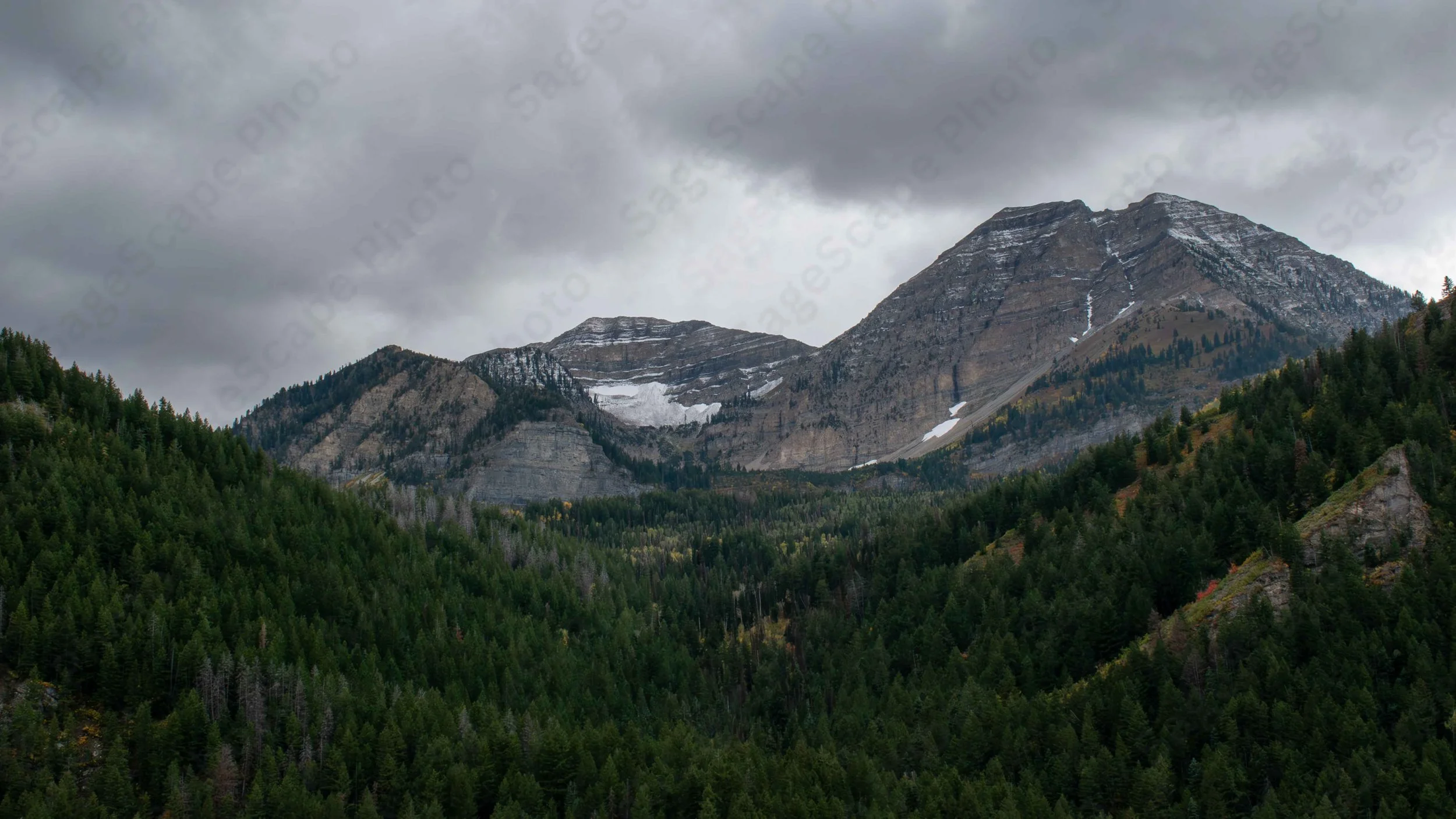 Autumn's Cold Slumber